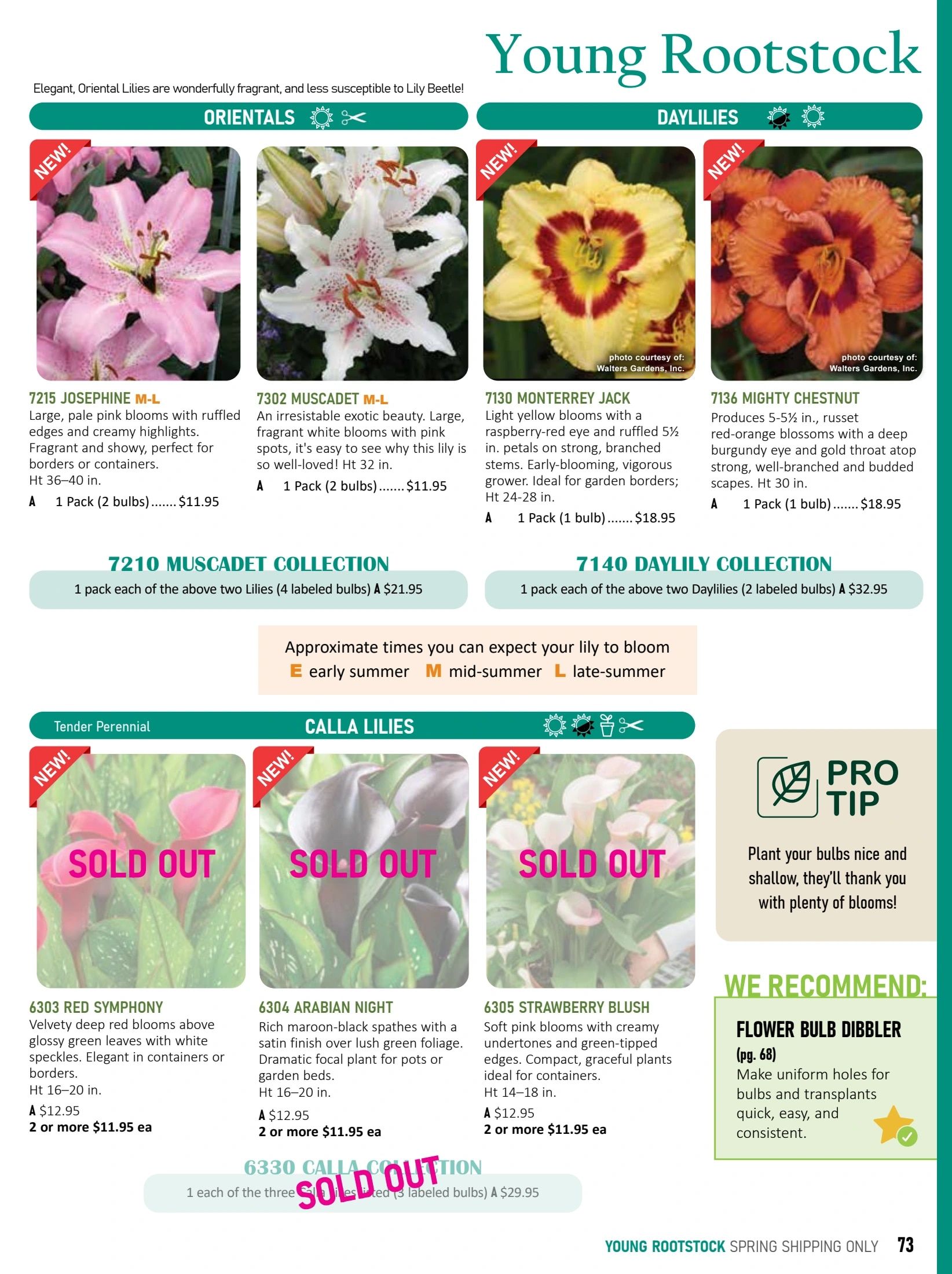 T&T Seeds Catalogue Weekly Ad January 1 - December 31, 2026