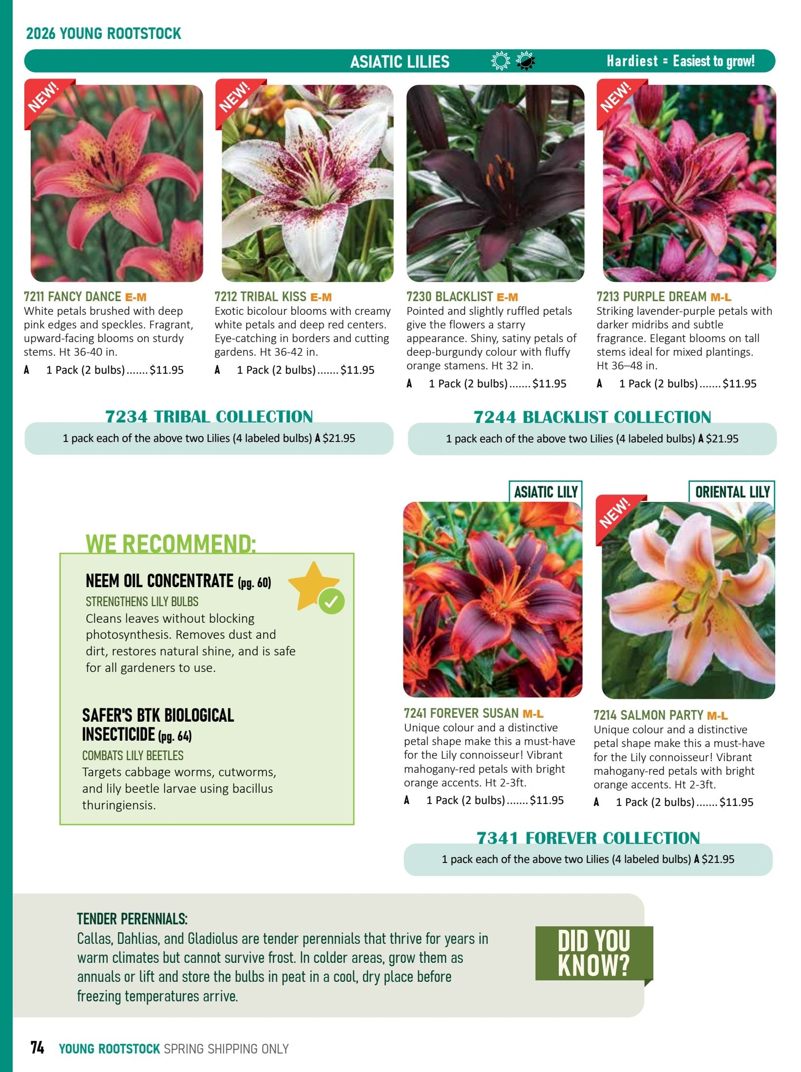 T&T Seeds Catalogue Weekly Ad January 1 - December 31, 2026