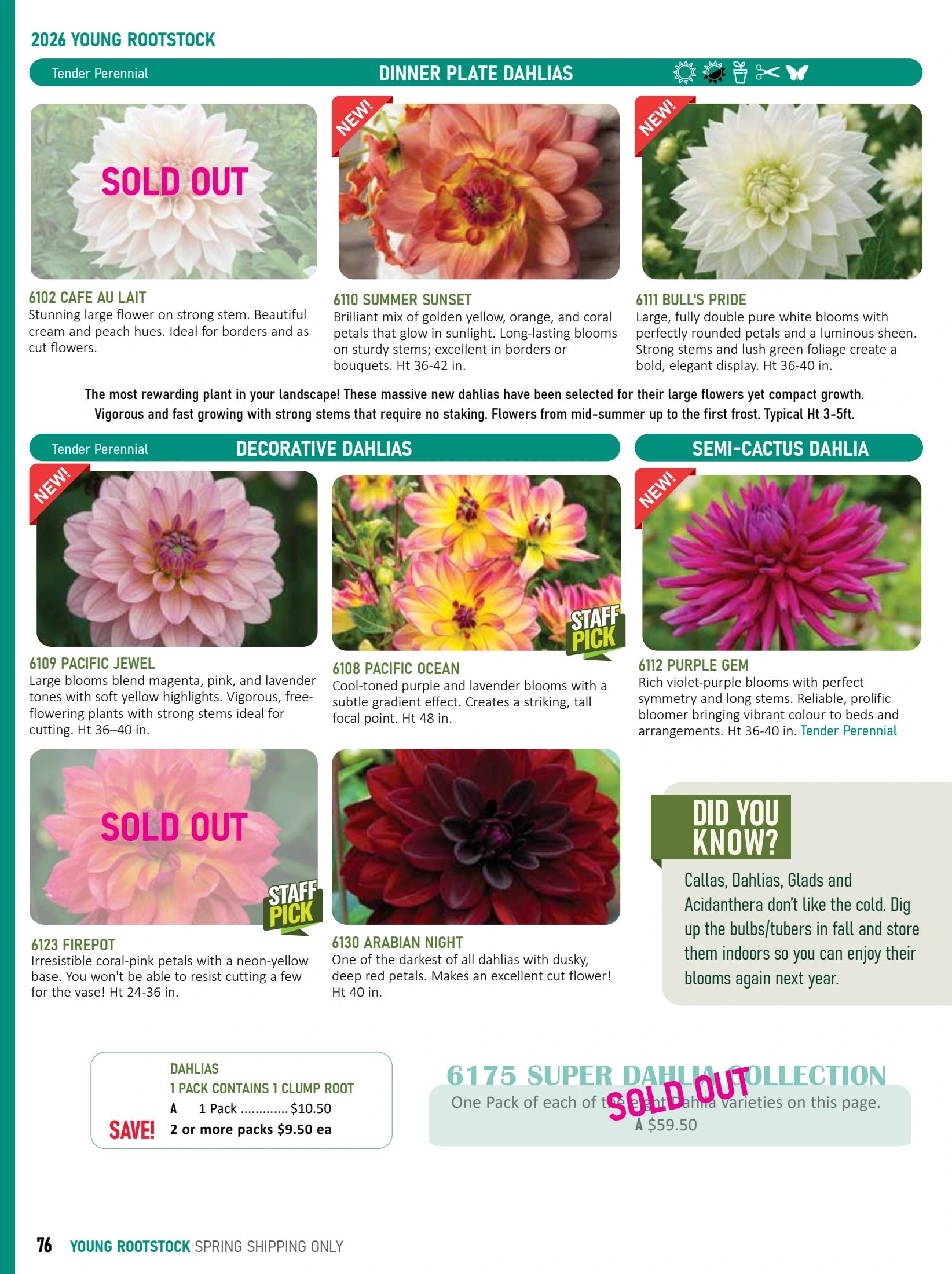 T&T Seeds Catalogue Weekly Ad January 1 - December 31, 2026