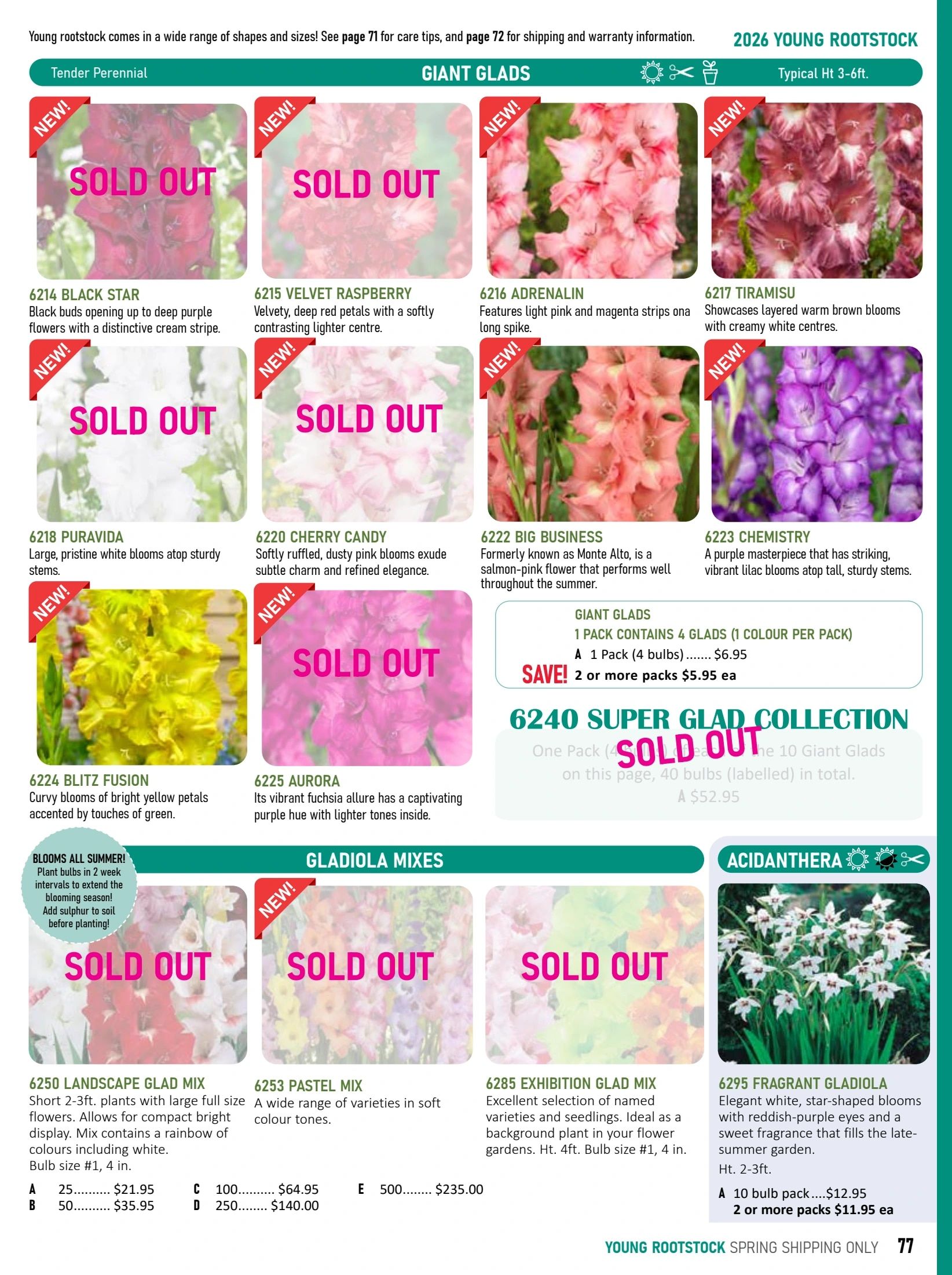 T&T Seeds Catalogue Weekly Ad January 1 - December 31, 2026