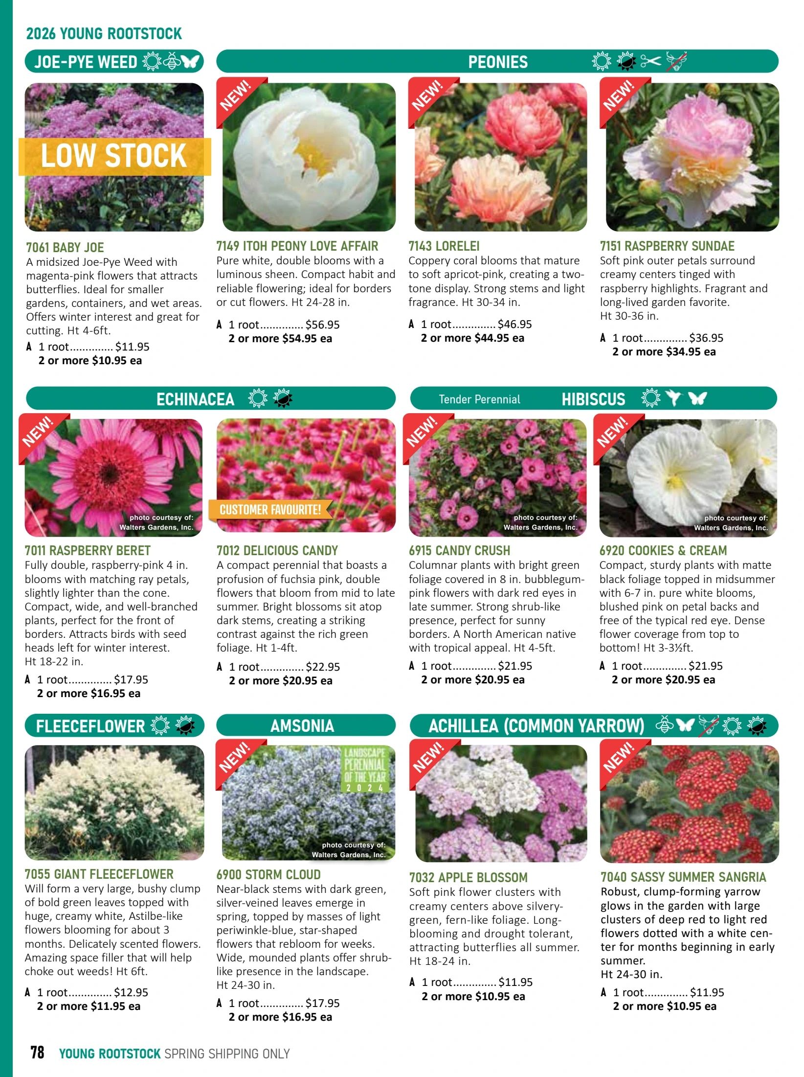 T&T Seeds Catalogue Weekly Ad January 1 - December 31, 2026