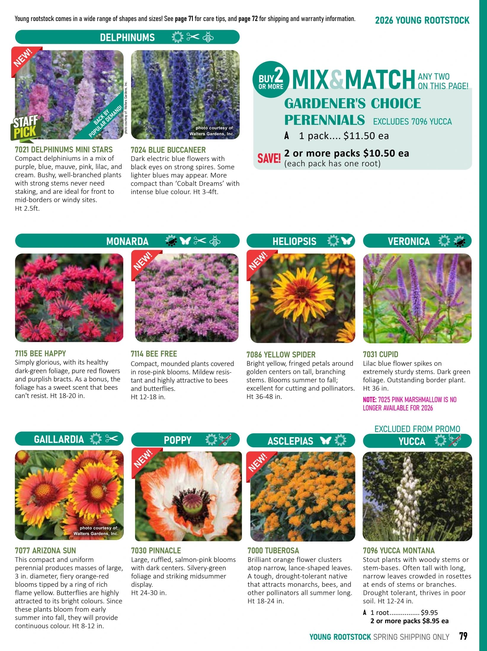 T&T Seeds Catalogue Weekly Ad January 1 - December 31, 2026