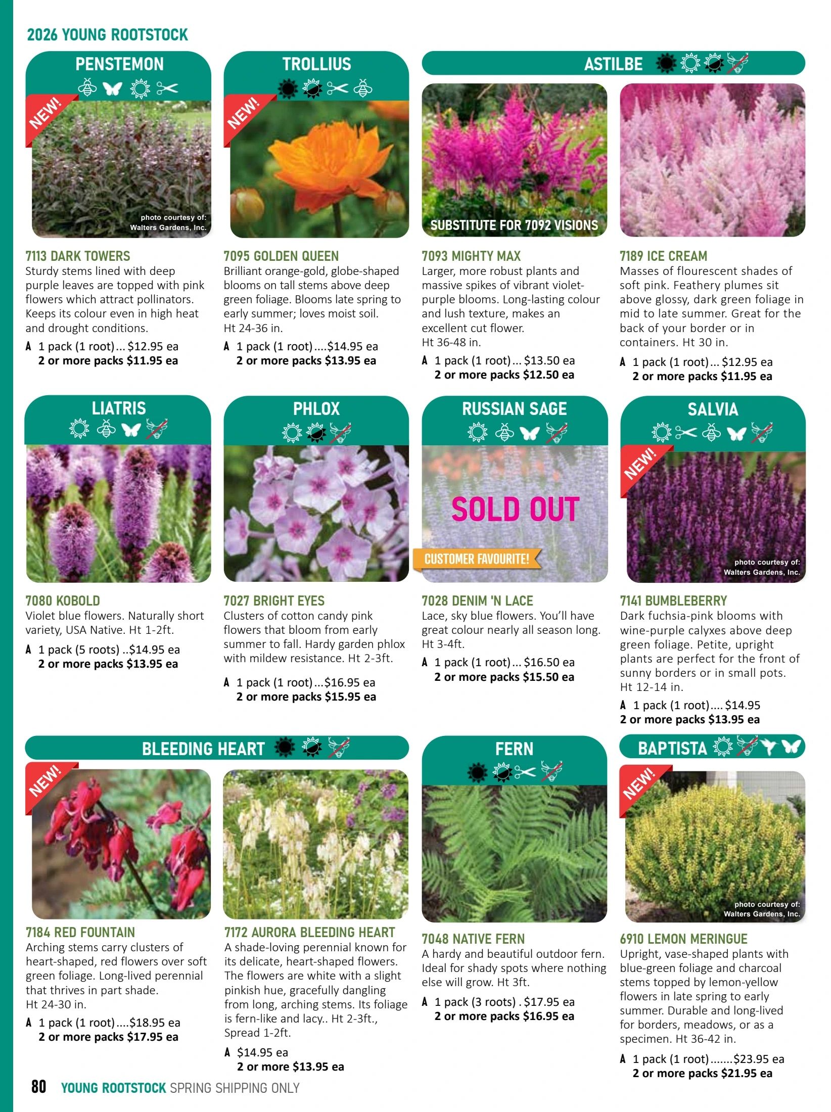 T&T Seeds Catalogue Weekly Ad January 1 - December 31, 2026