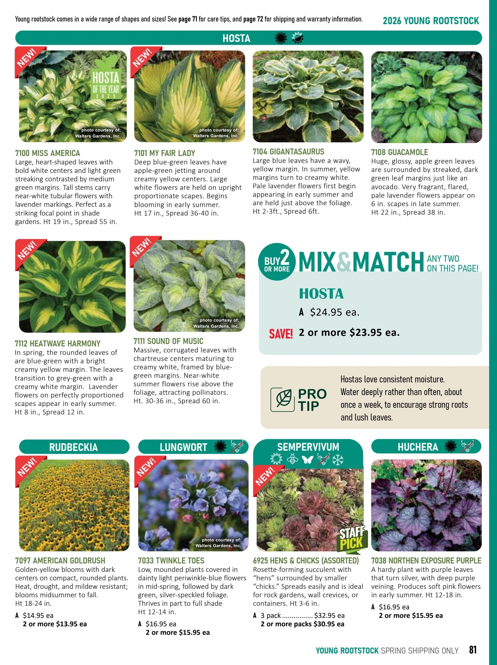 T&T Seeds Catalogue Weekly Ad January 1 - December 31, 2026
