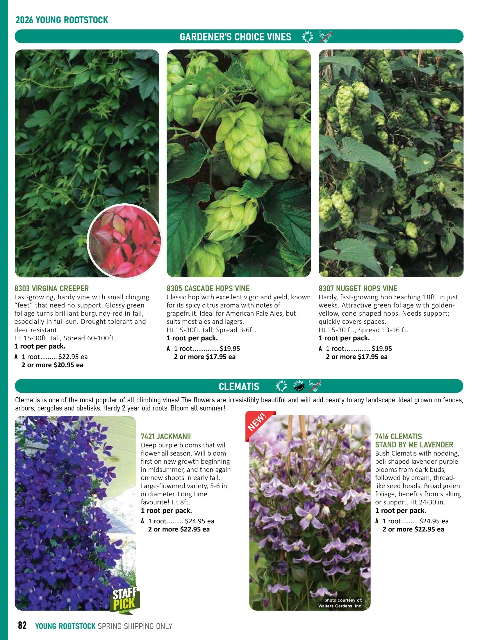 T&T Seeds Catalogue Weekly Ad January 1 - December 31, 2026