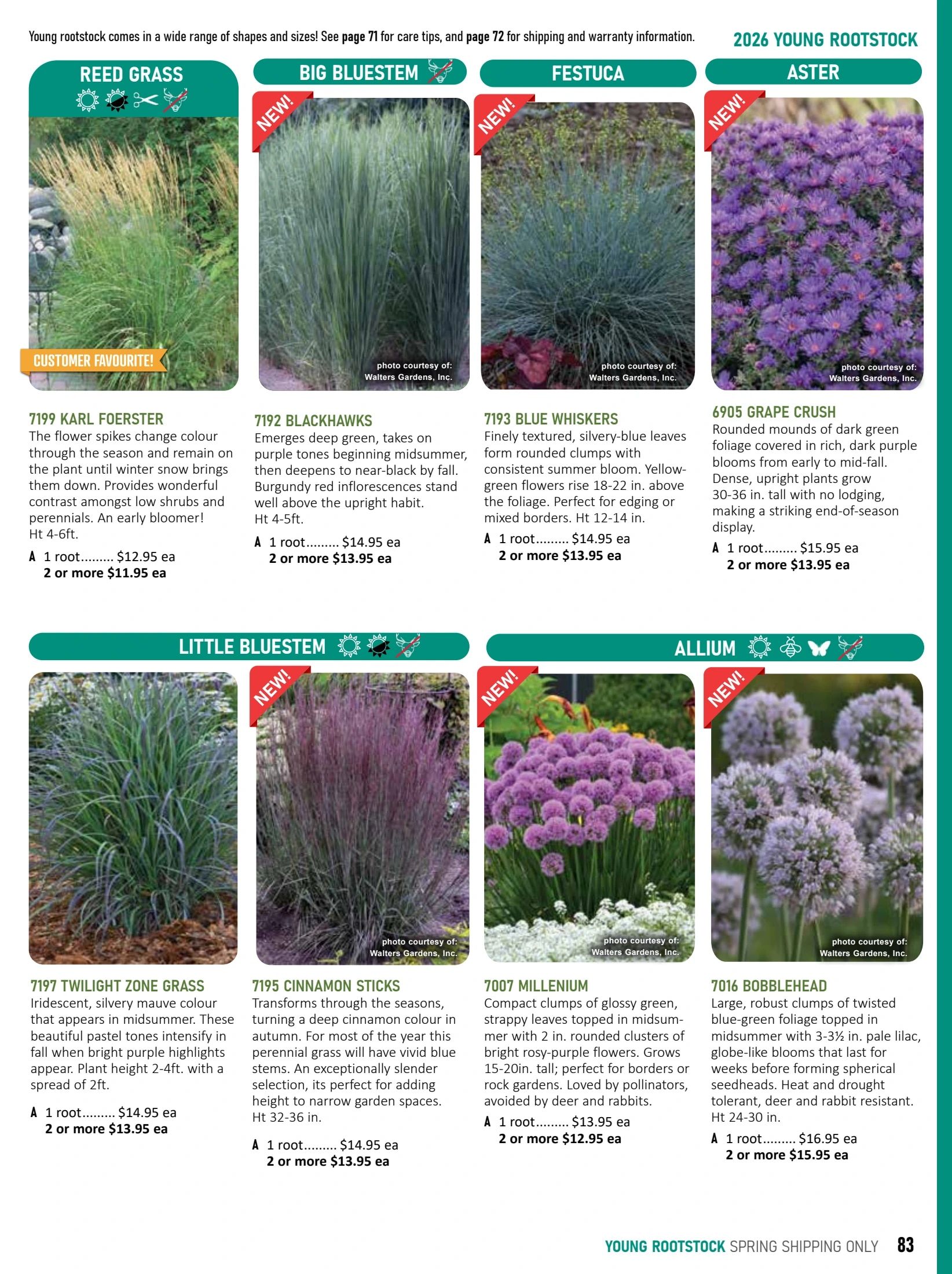 T&T Seeds Catalogue Weekly Ad January 1 - December 31, 2026