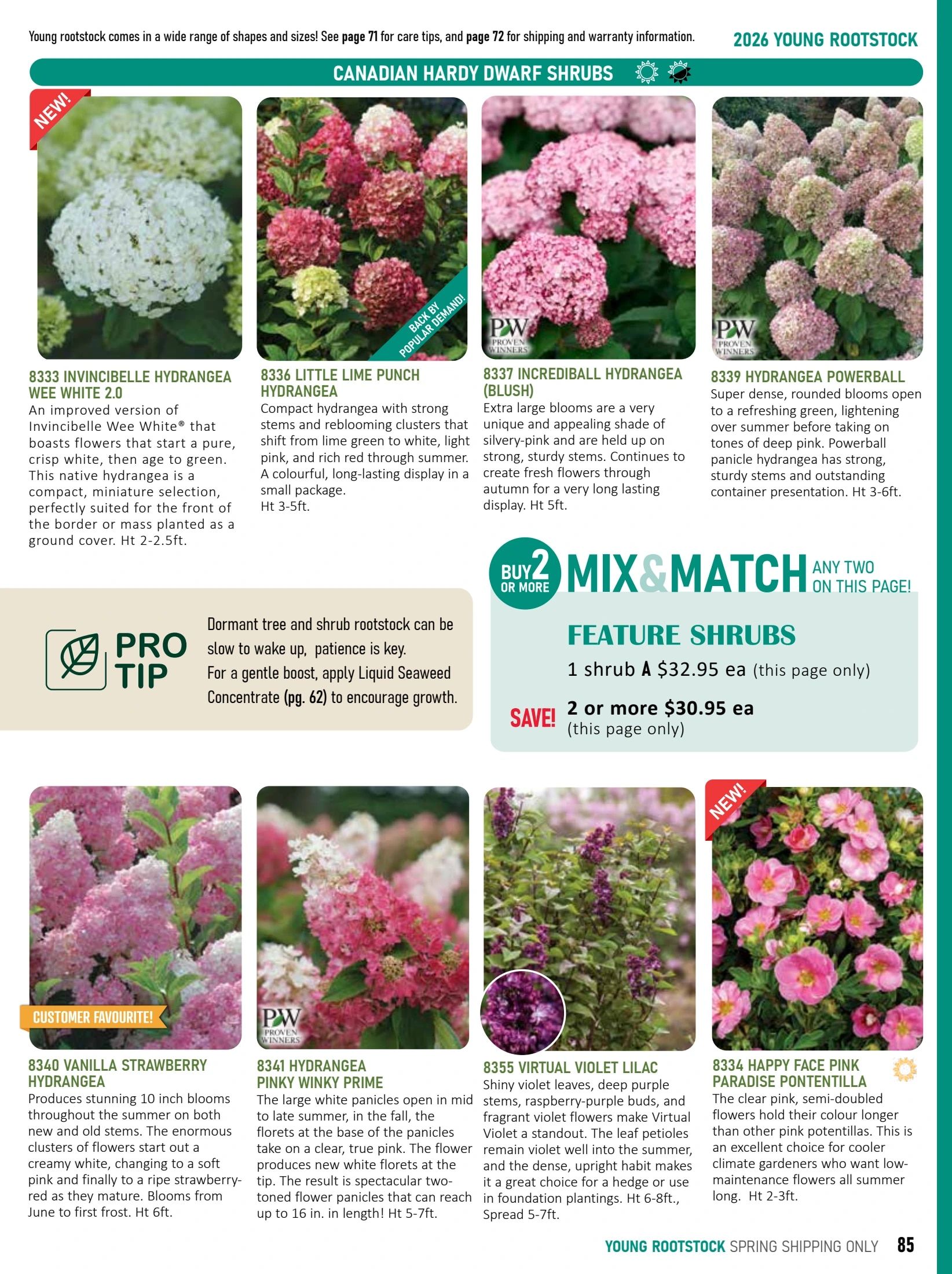 T&T Seeds Catalogue Weekly Ad January 1 - December 31, 2026