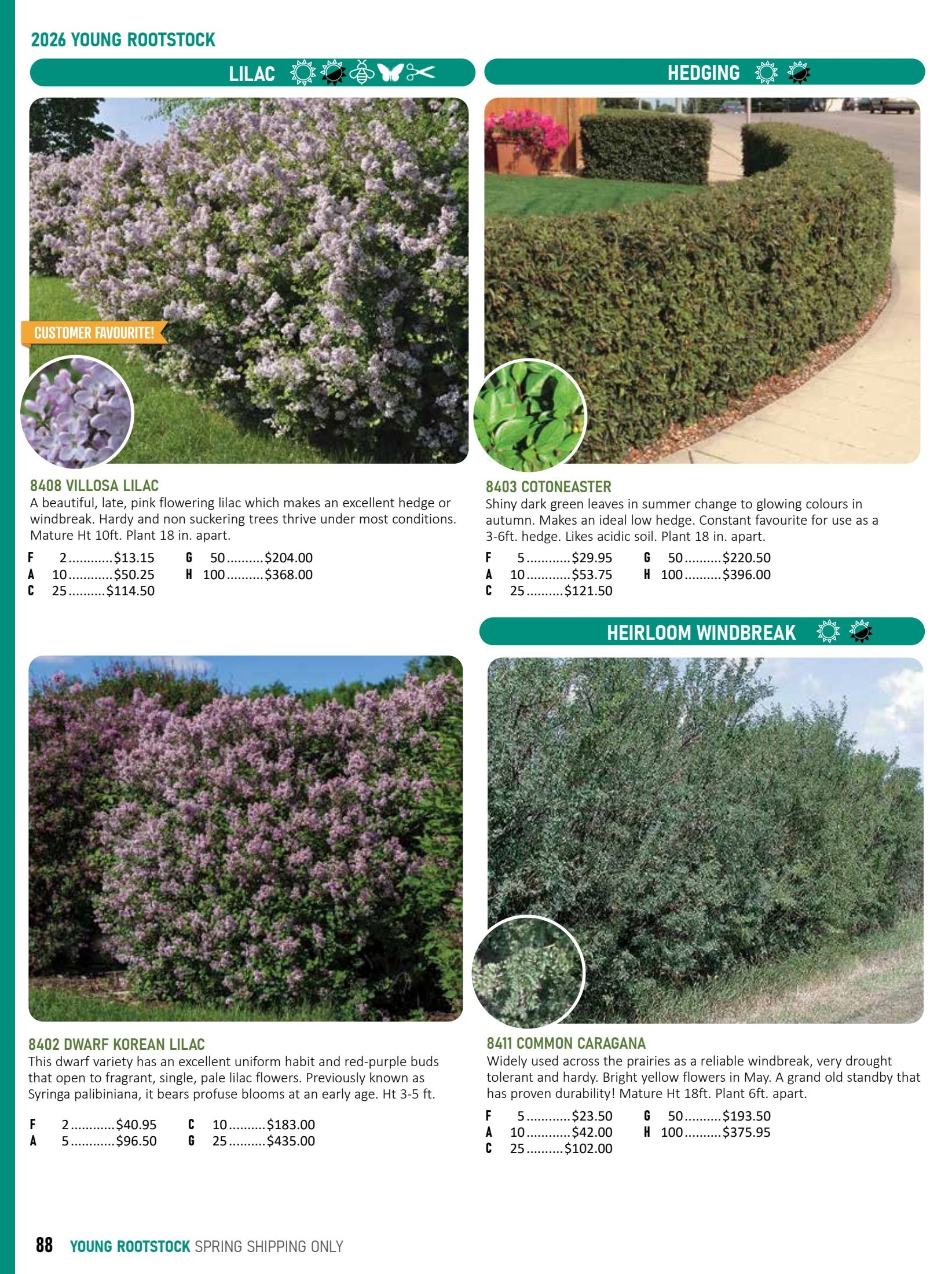 T&T Seeds Catalogue Weekly Ad January 1 - December 31, 2026