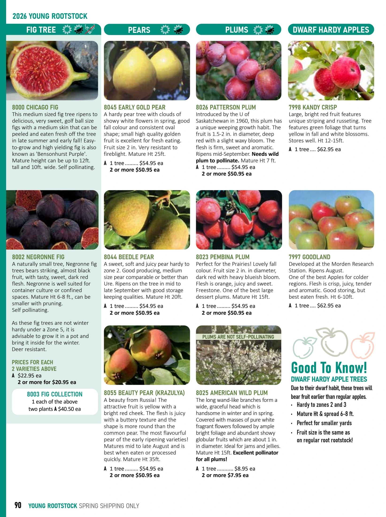 T&T Seeds Catalogue Weekly Ad January 1 - December 31, 2026