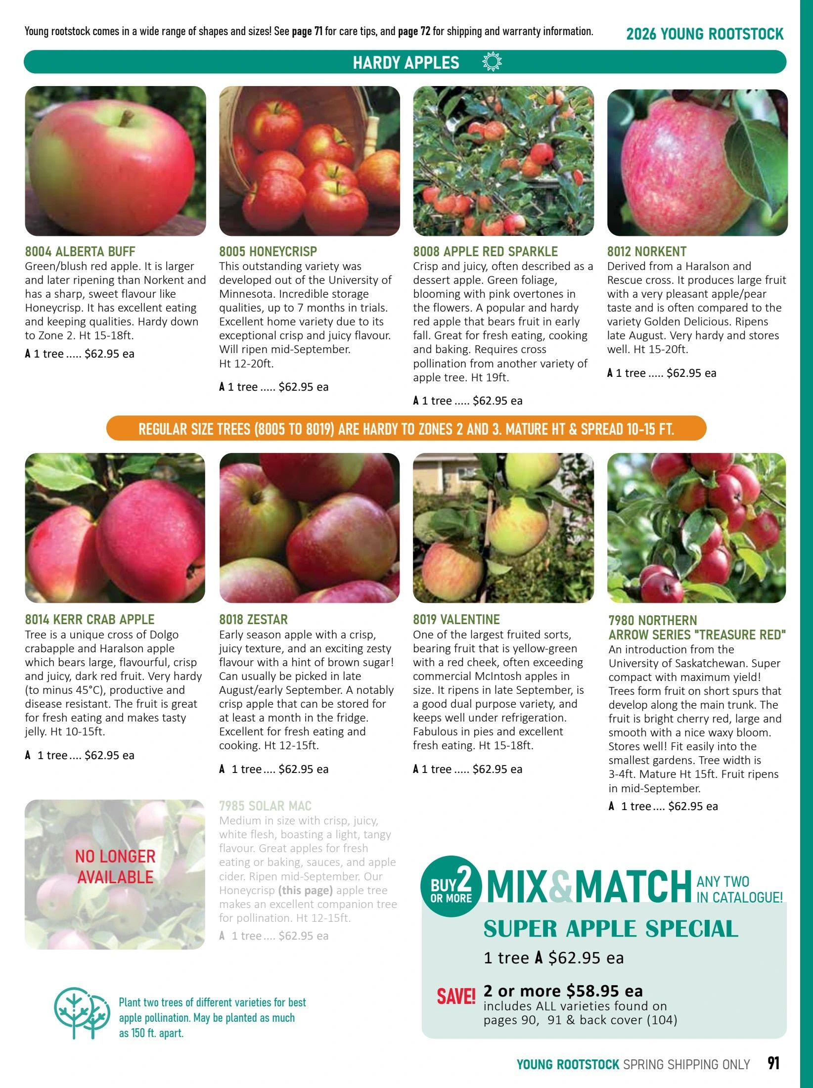 T&T Seeds Catalogue Weekly Ad January 1 - December 31, 2026