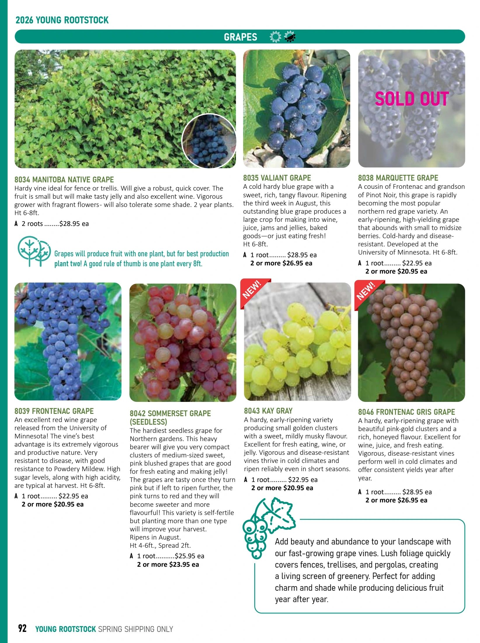 T&T Seeds Catalogue Weekly Ad January 1 - December 31, 2026