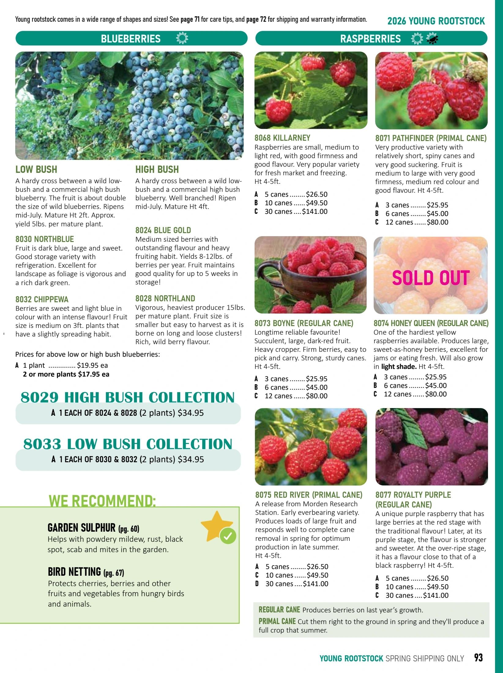 T&T Seeds Catalogue Weekly Ad January 1 - December 31, 2026
