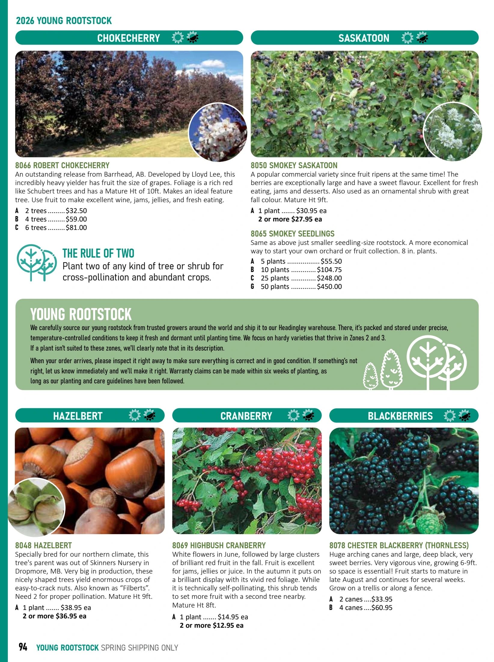 T&T Seeds Catalogue Weekly Ad January 1 - December 31, 2026