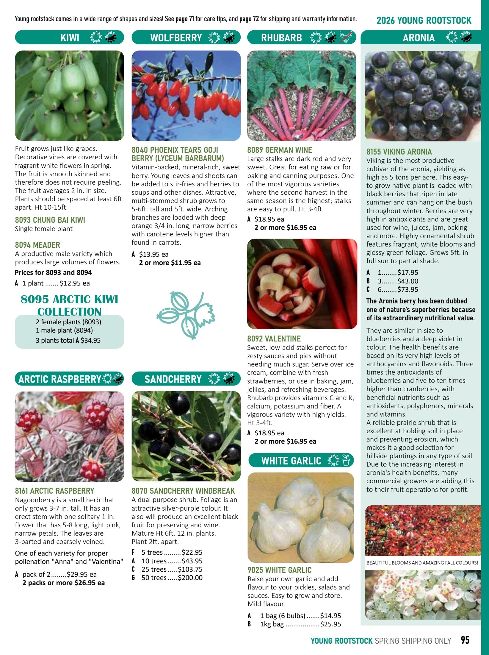 T&T Seeds Catalogue Weekly Ad January 1 - December 31, 2026