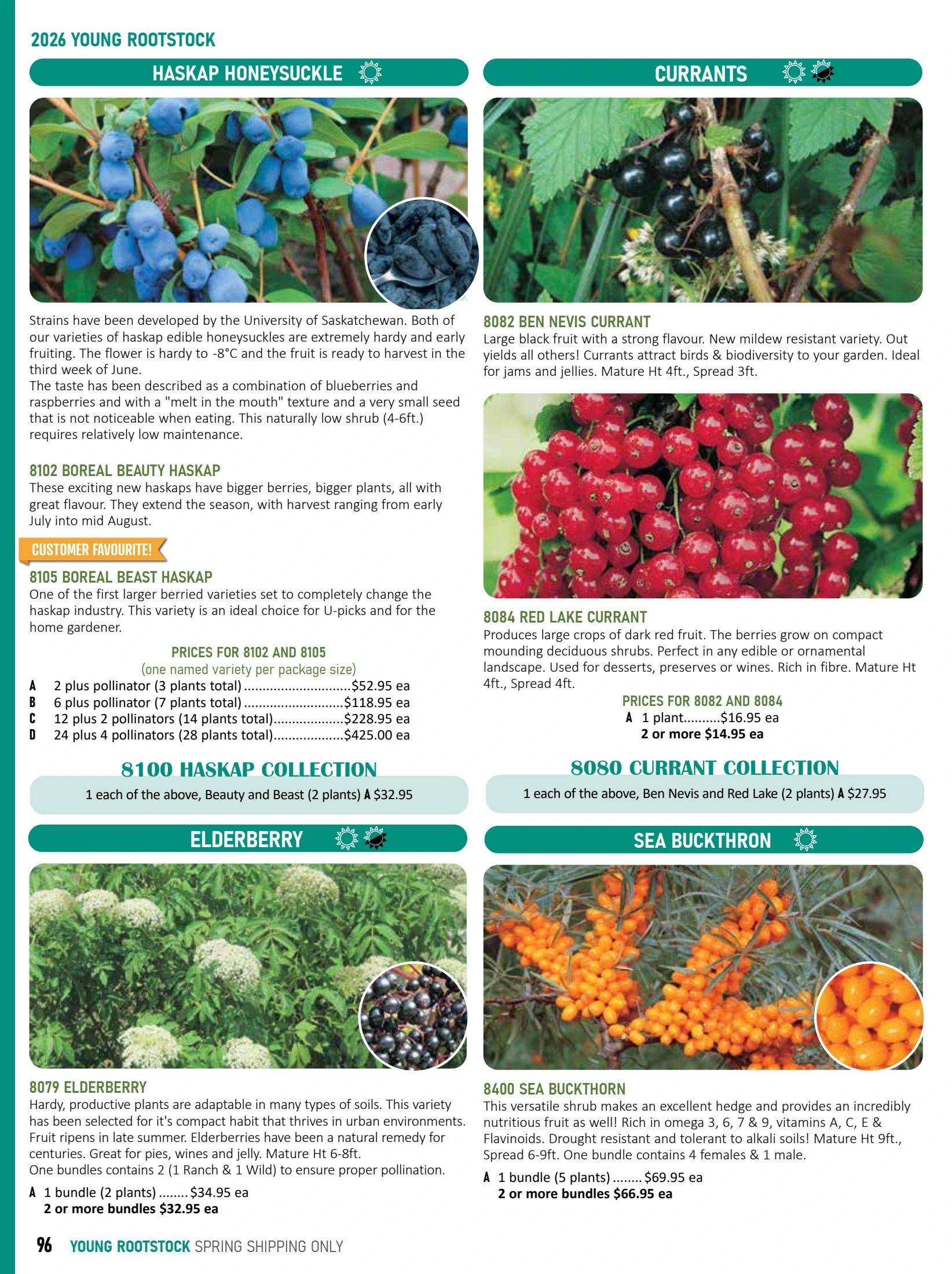 T&T Seeds Catalogue Weekly Ad January 1 - December 31, 2026