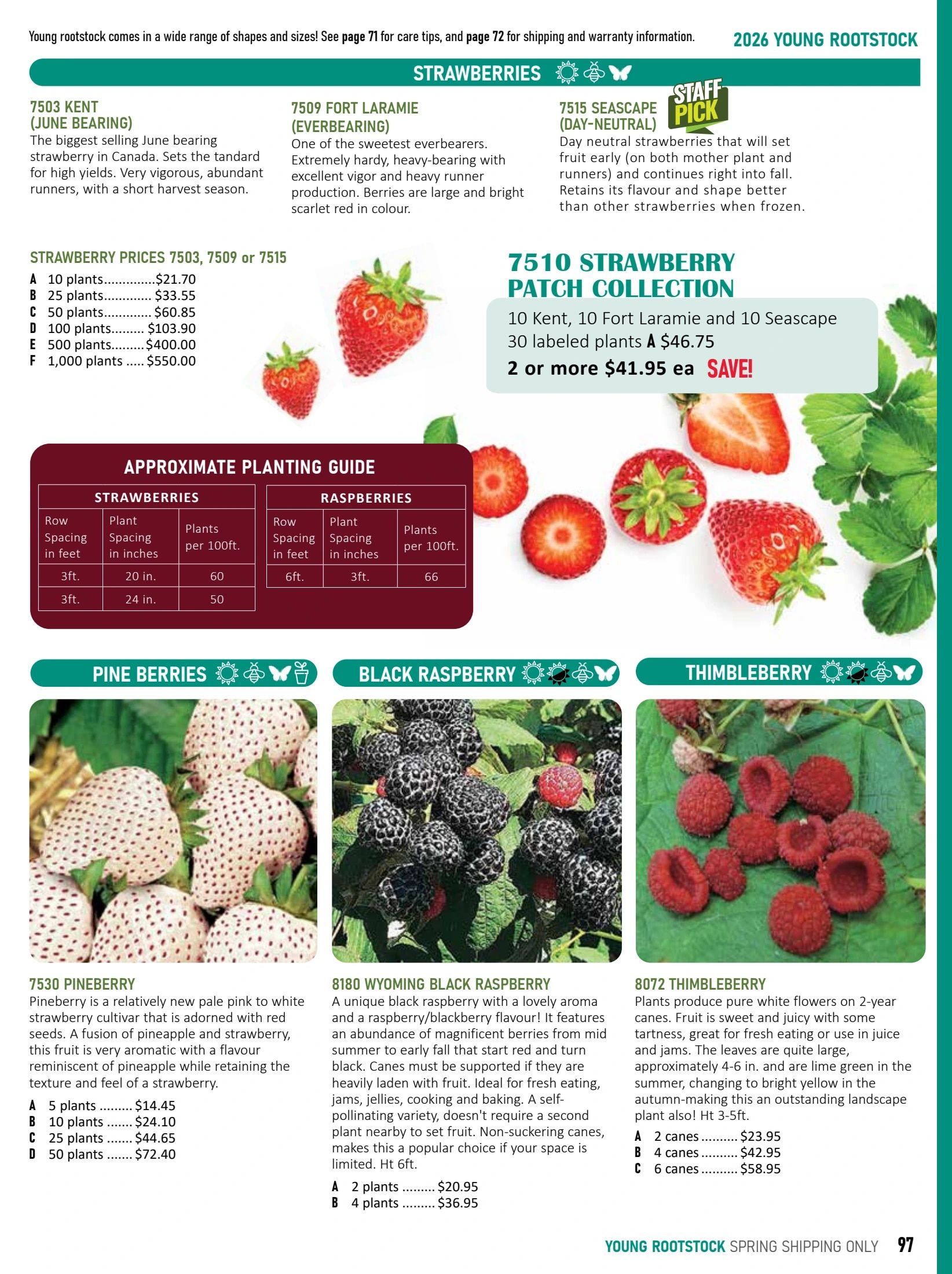 T&T Seeds Catalogue Weekly Ad January 1 - December 31, 2026