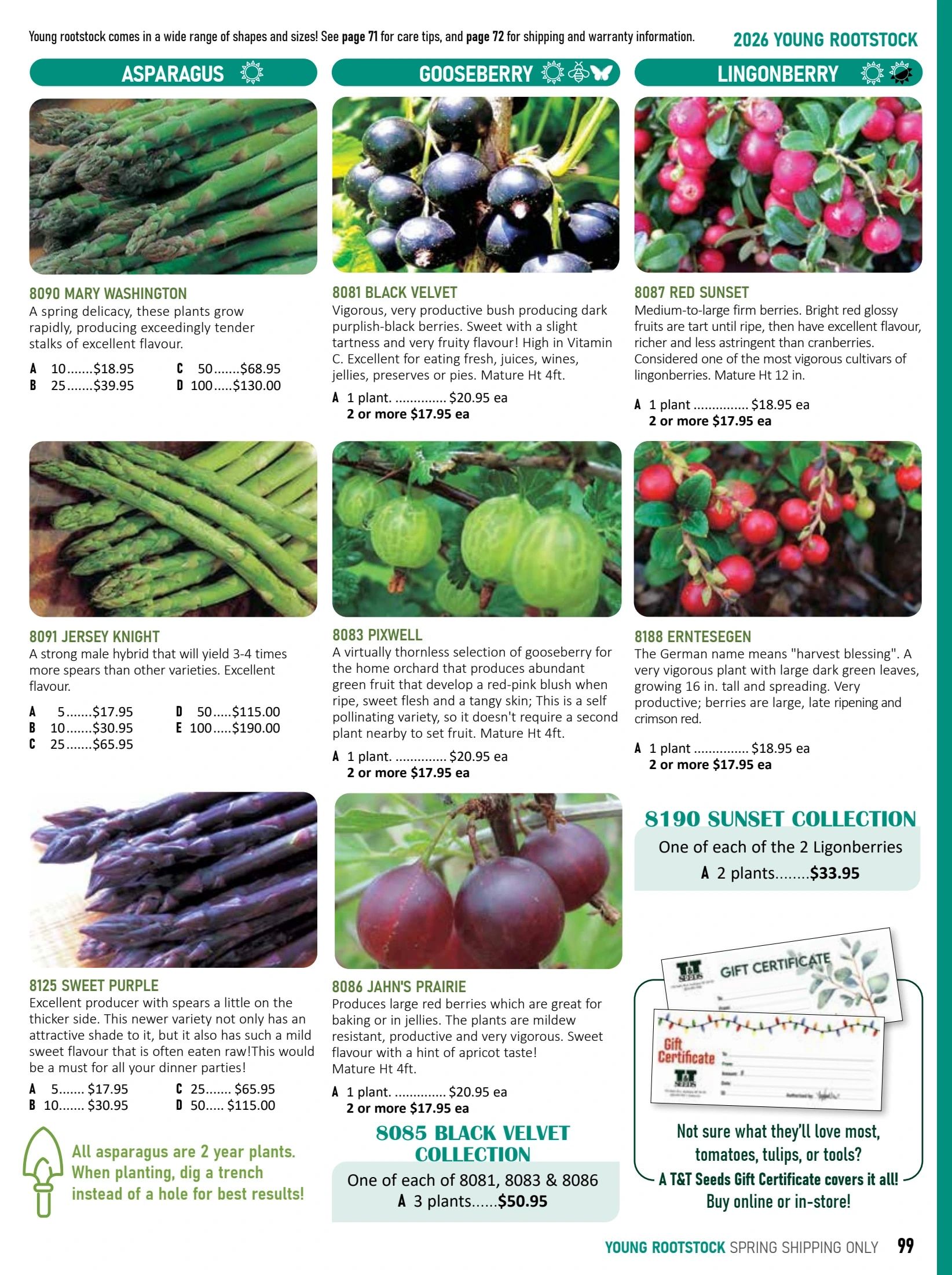 T&T Seeds Catalogue Weekly Ad January 1 - December 31, 2026