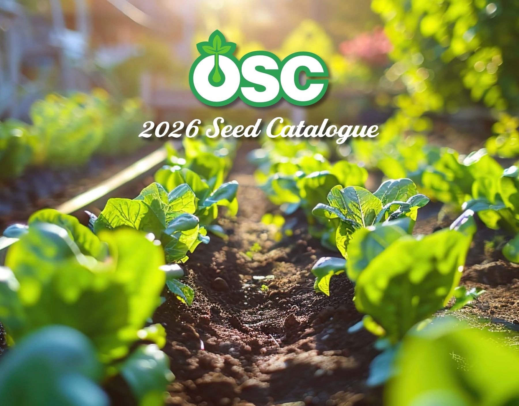 OSC Seeds Annual Catalog Weekly Ad January 1 - December 31, 2026