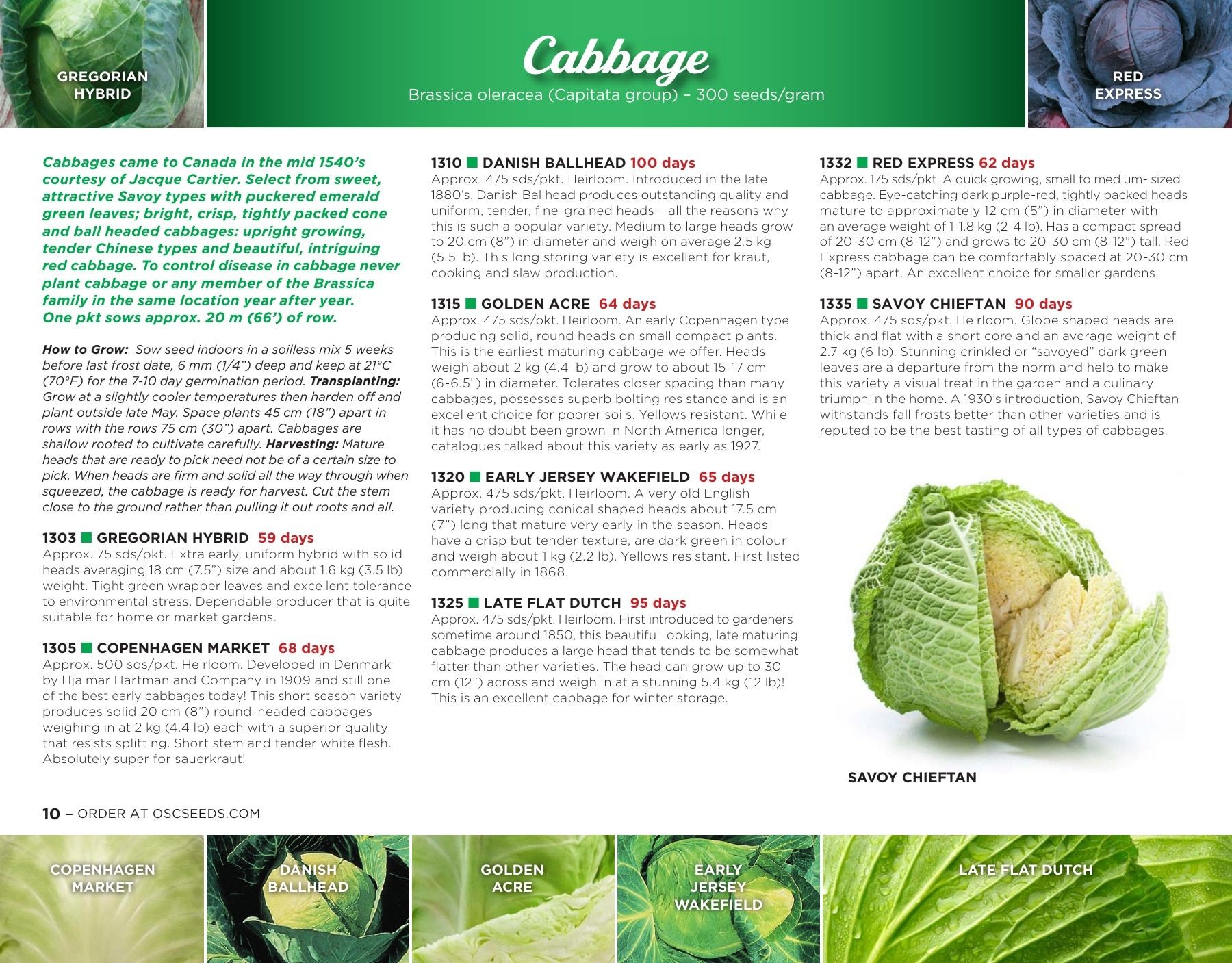 OSC Seeds Annual Catalog Weekly Ad January 1 - December 31, 2026