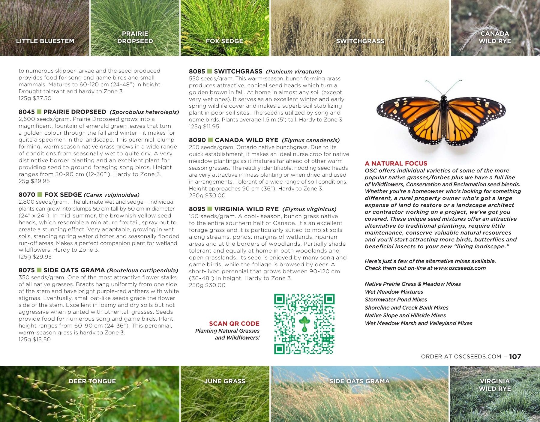 OSC Seeds Annual Catalog Weekly Ad January 1 - December 31, 2026