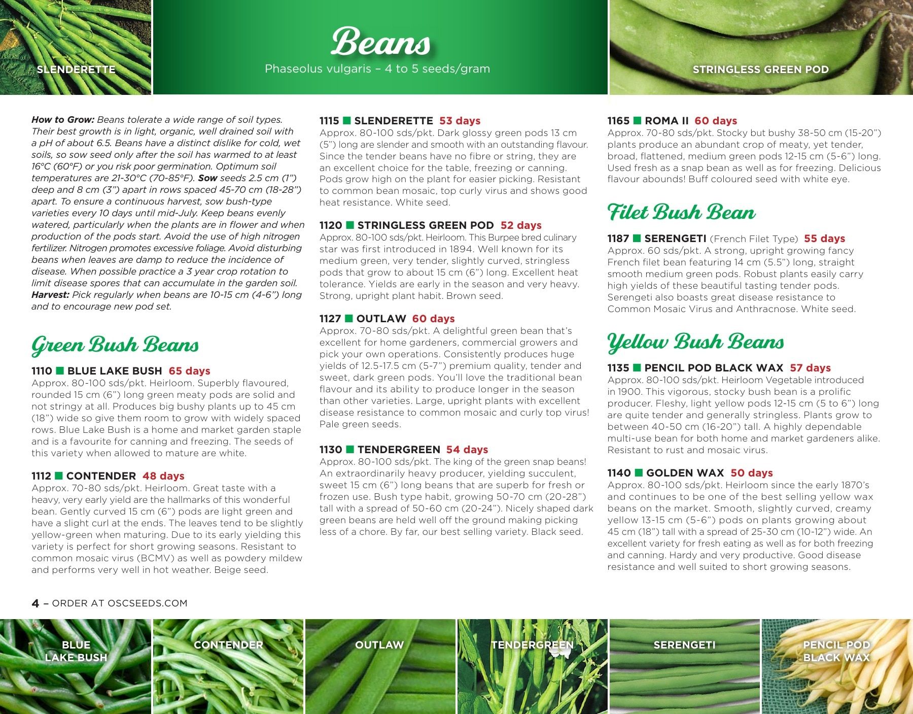 OSC Seeds Annual Catalog Weekly Ad January 1 - December 31, 2026