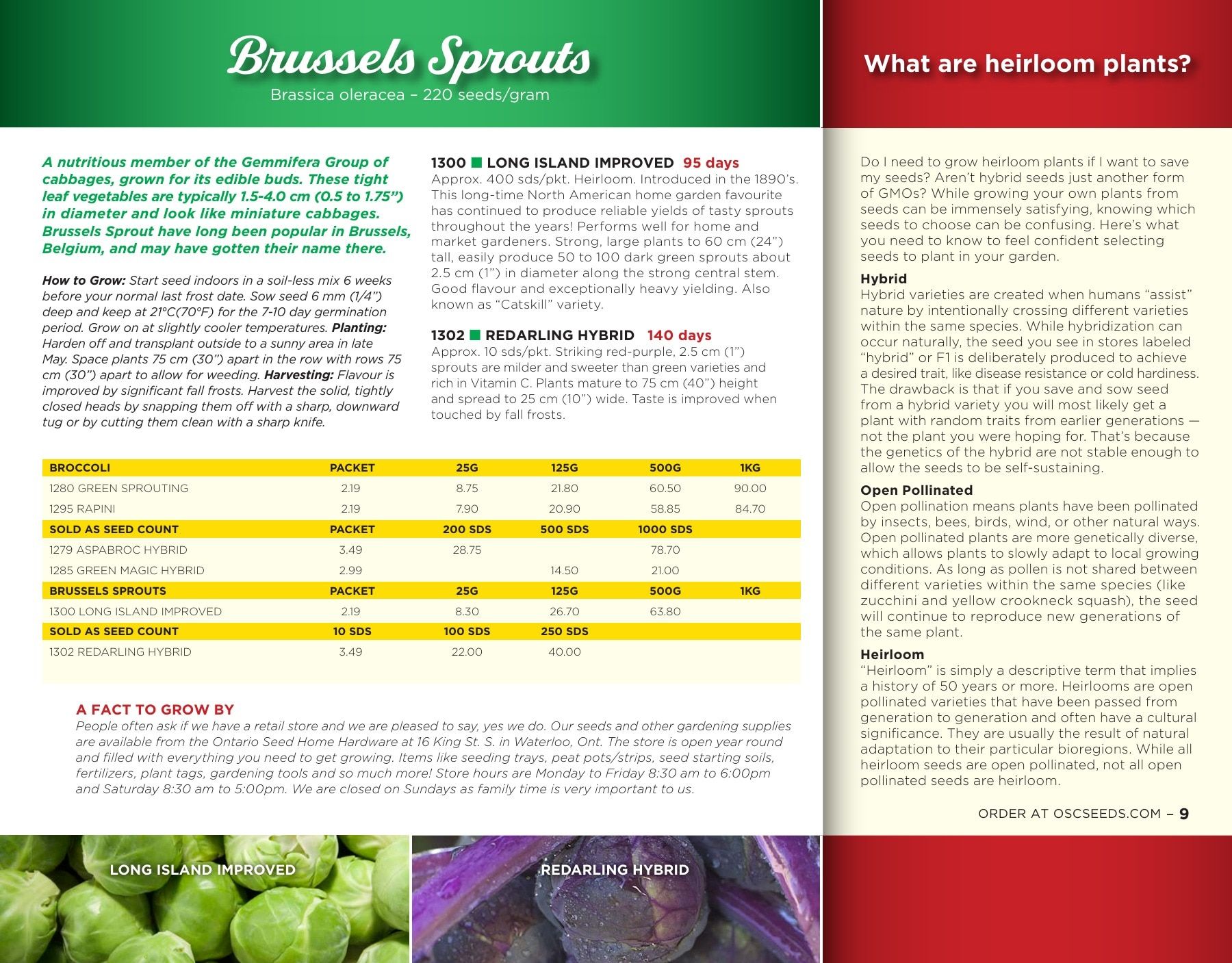 OSC Seeds Annual Catalog Weekly Ad January 1 - December 31, 2026