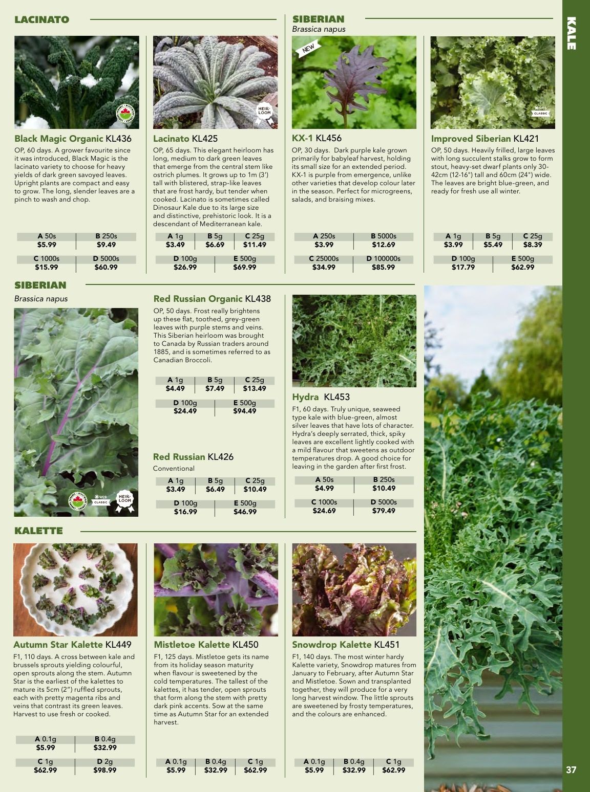 West Coast Seeds (5300 34B Avenue, Delta) Growing Guide Weekly Ad January 1 - December 31, 2026