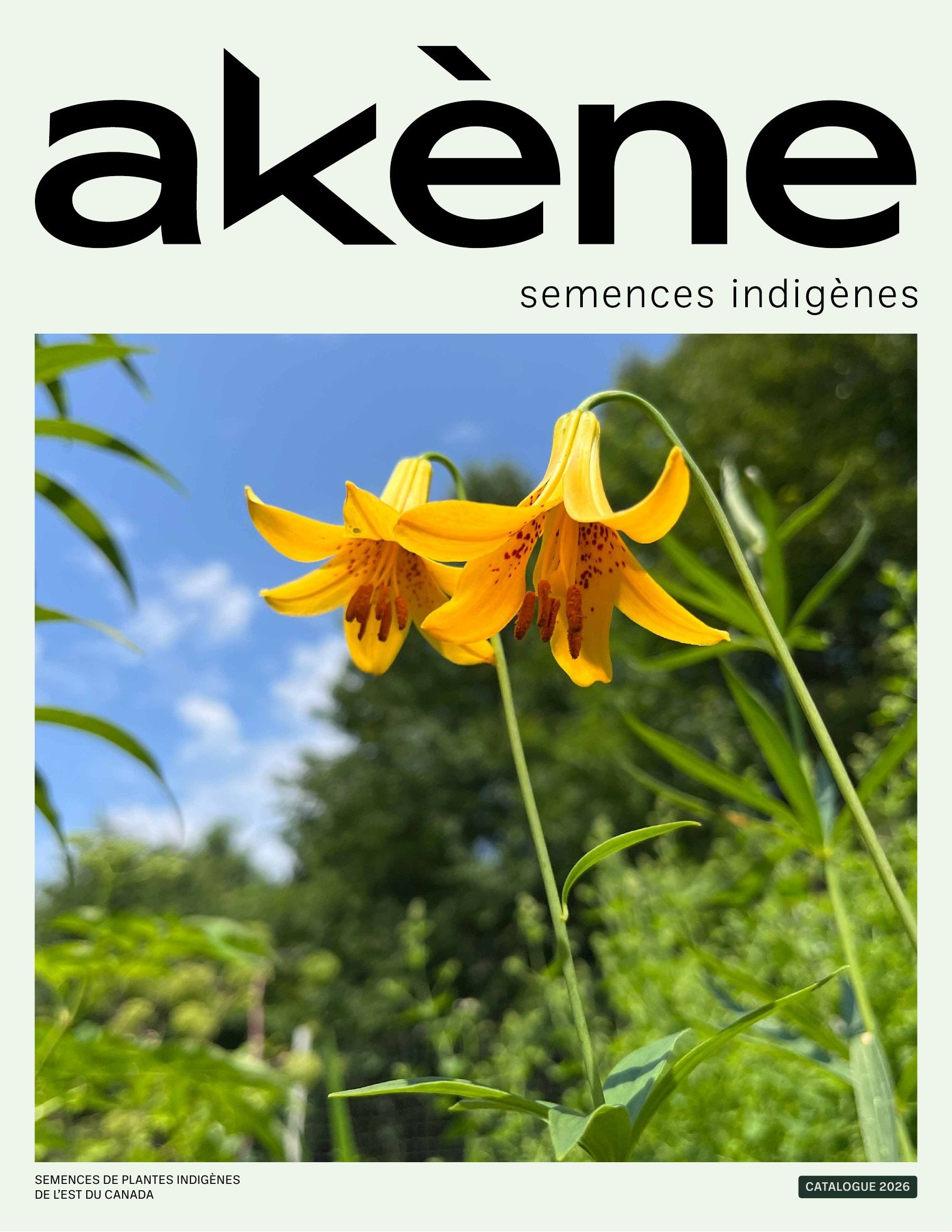 Akène Detailed Seed Catalog Weekly Ad January 1 - December 31, 2026