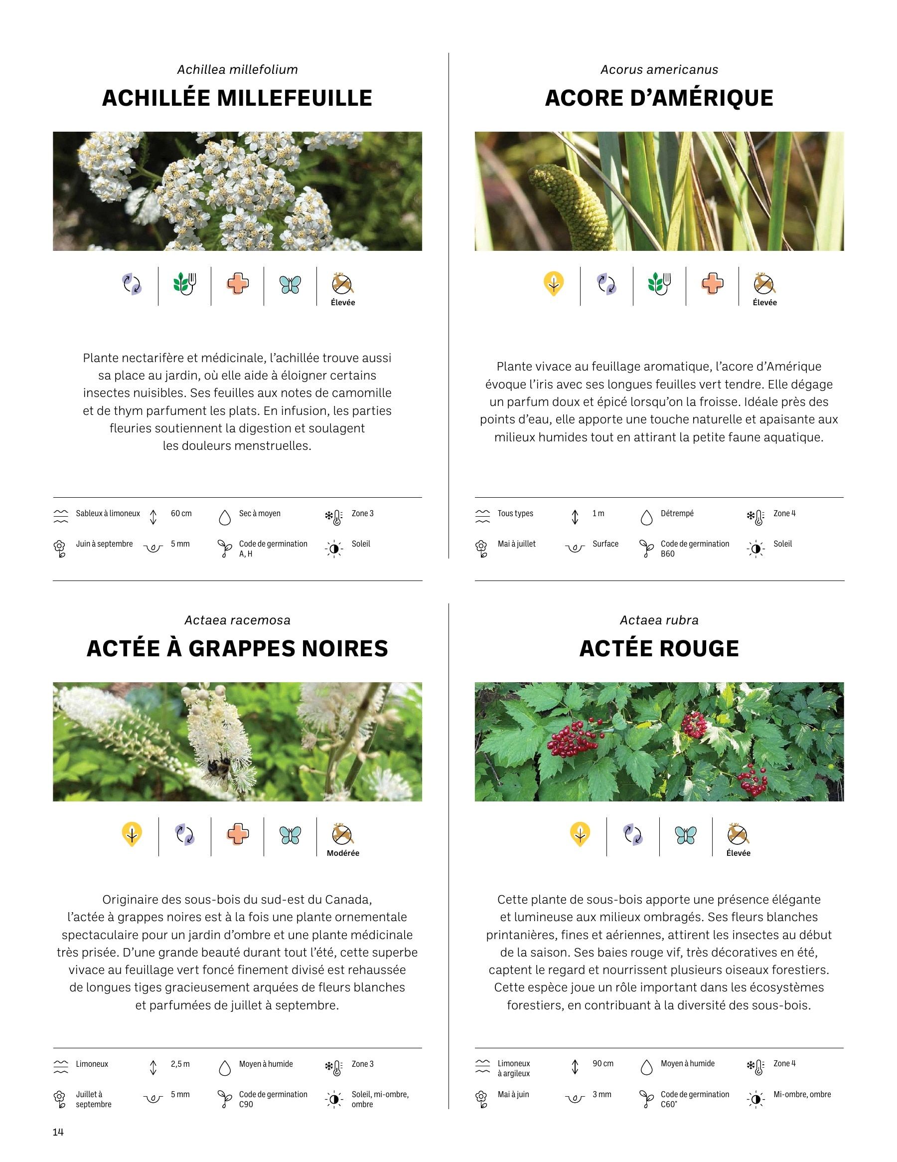 Akène Detailed Seed Catalog Weekly Ad January 1 - December 31, 2026