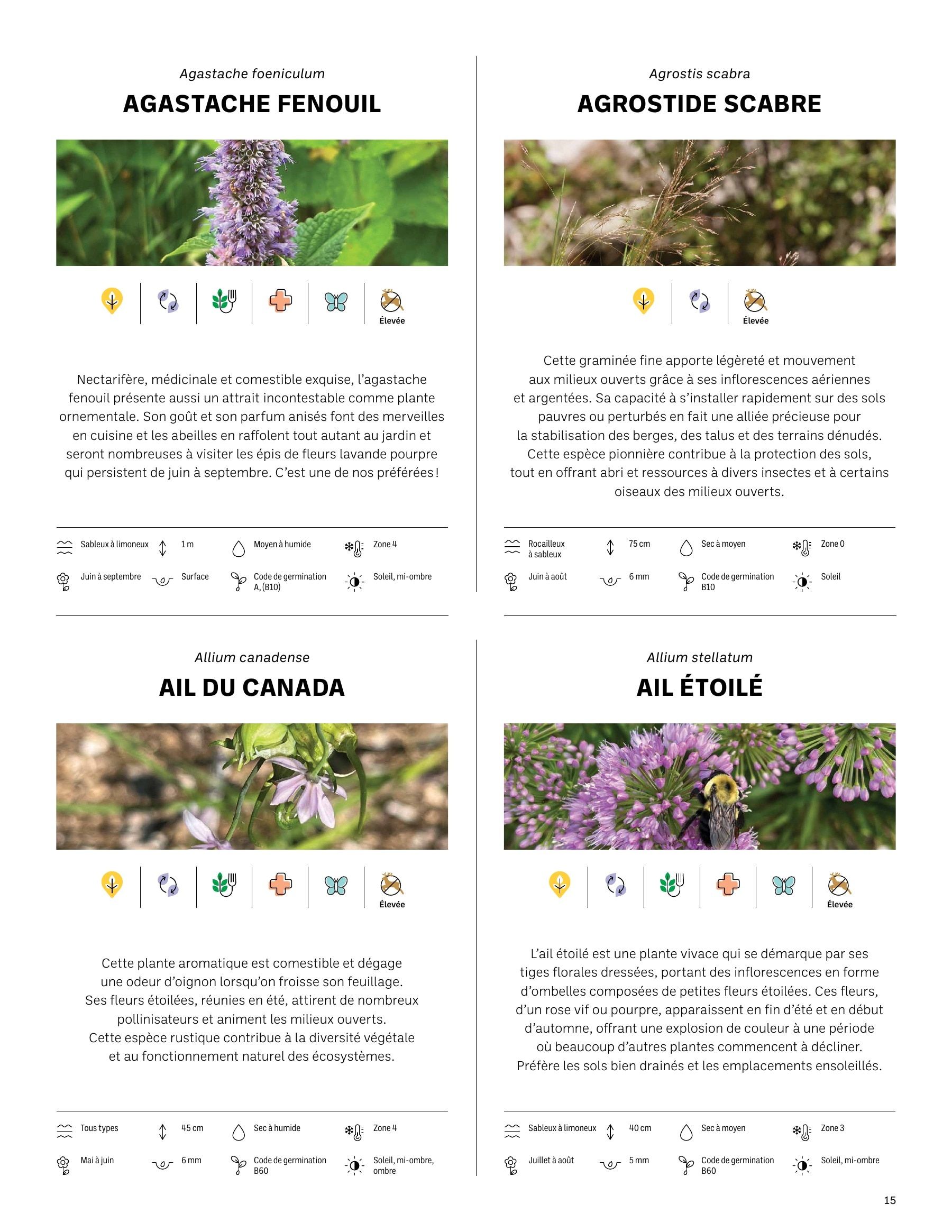 Akène Detailed Seed Catalog Weekly Ad January 1 - December 31, 2026