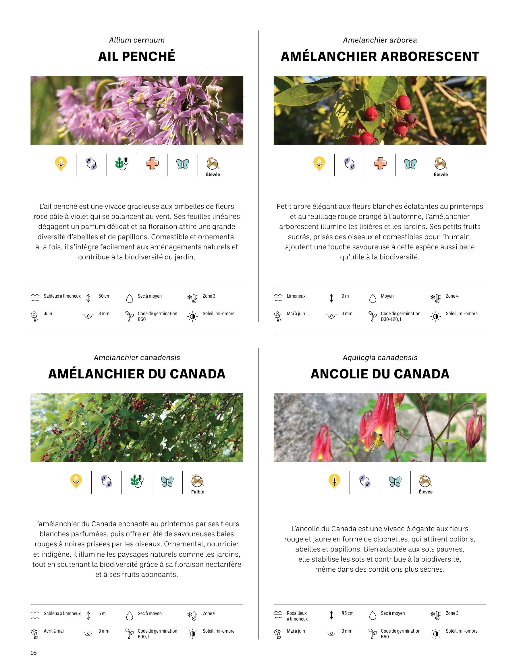 Akène Detailed Seed Catalog Weekly Ad January 1 - December 31, 2026