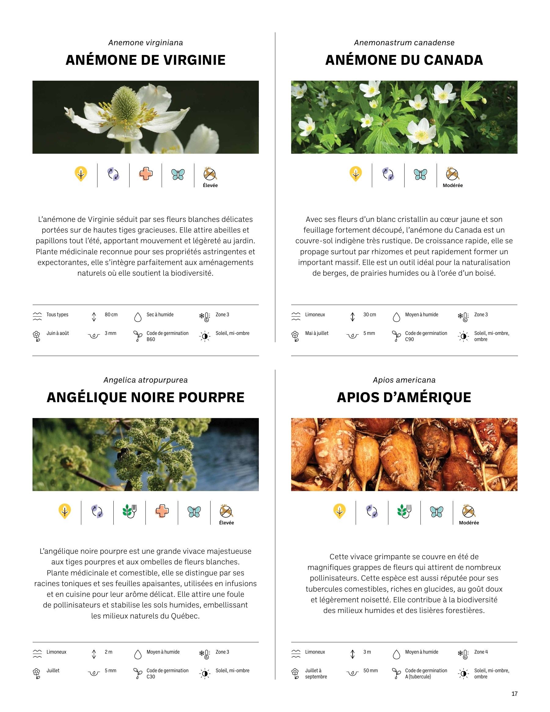 Akène Detailed Seed Catalog Weekly Ad January 1 - December 31, 2026