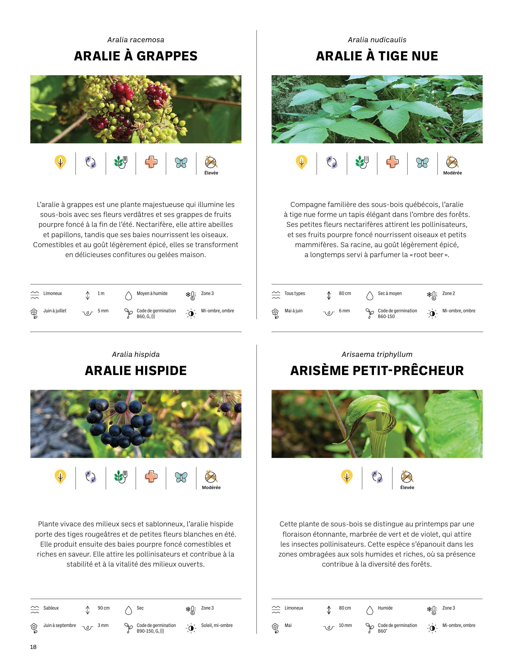 Akène Detailed Seed Catalog Weekly Ad January 1 - December 31, 2026