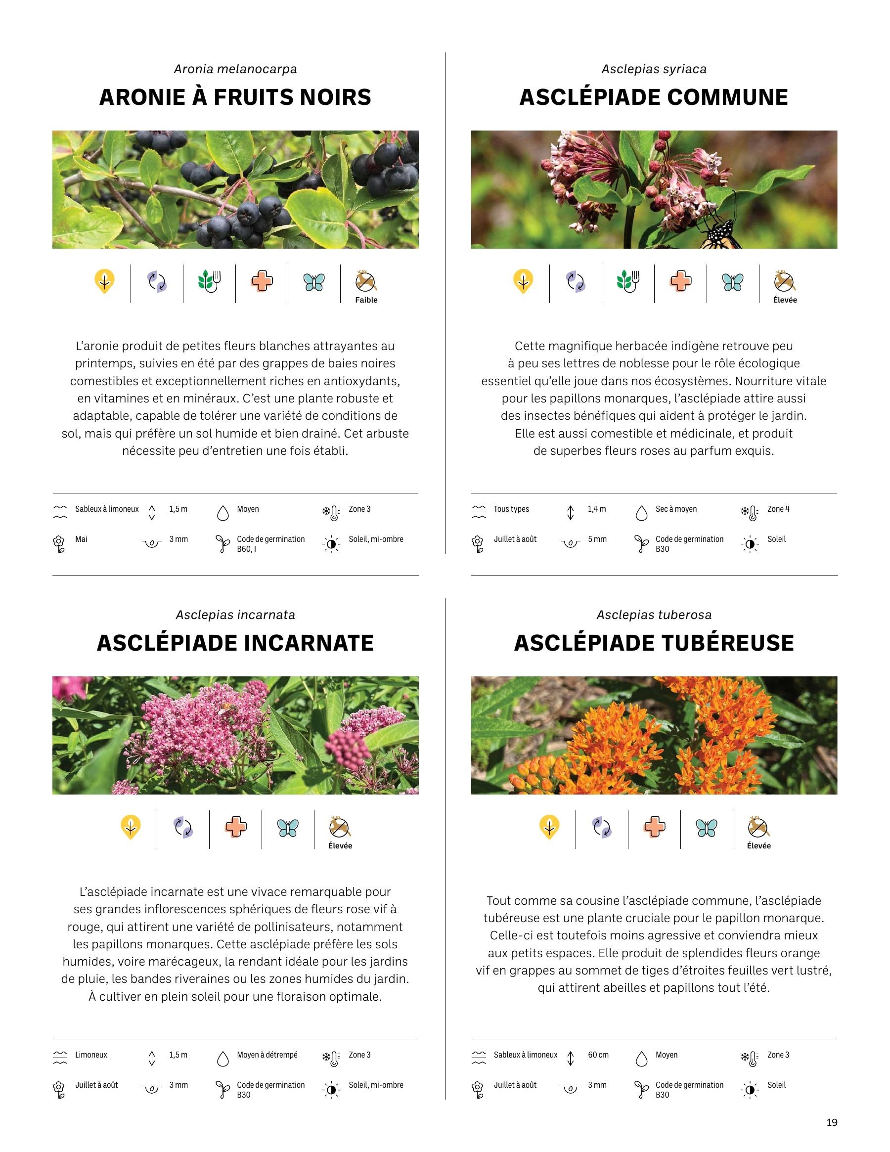 Akène Detailed Seed Catalog Weekly Ad January 1 - December 31, 2026