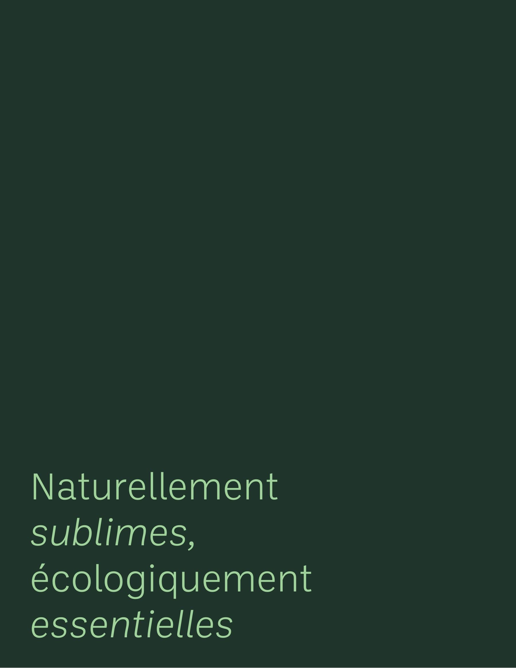 Akène Detailed Seed Catalog Weekly Ad January 1 - December 31, 2026