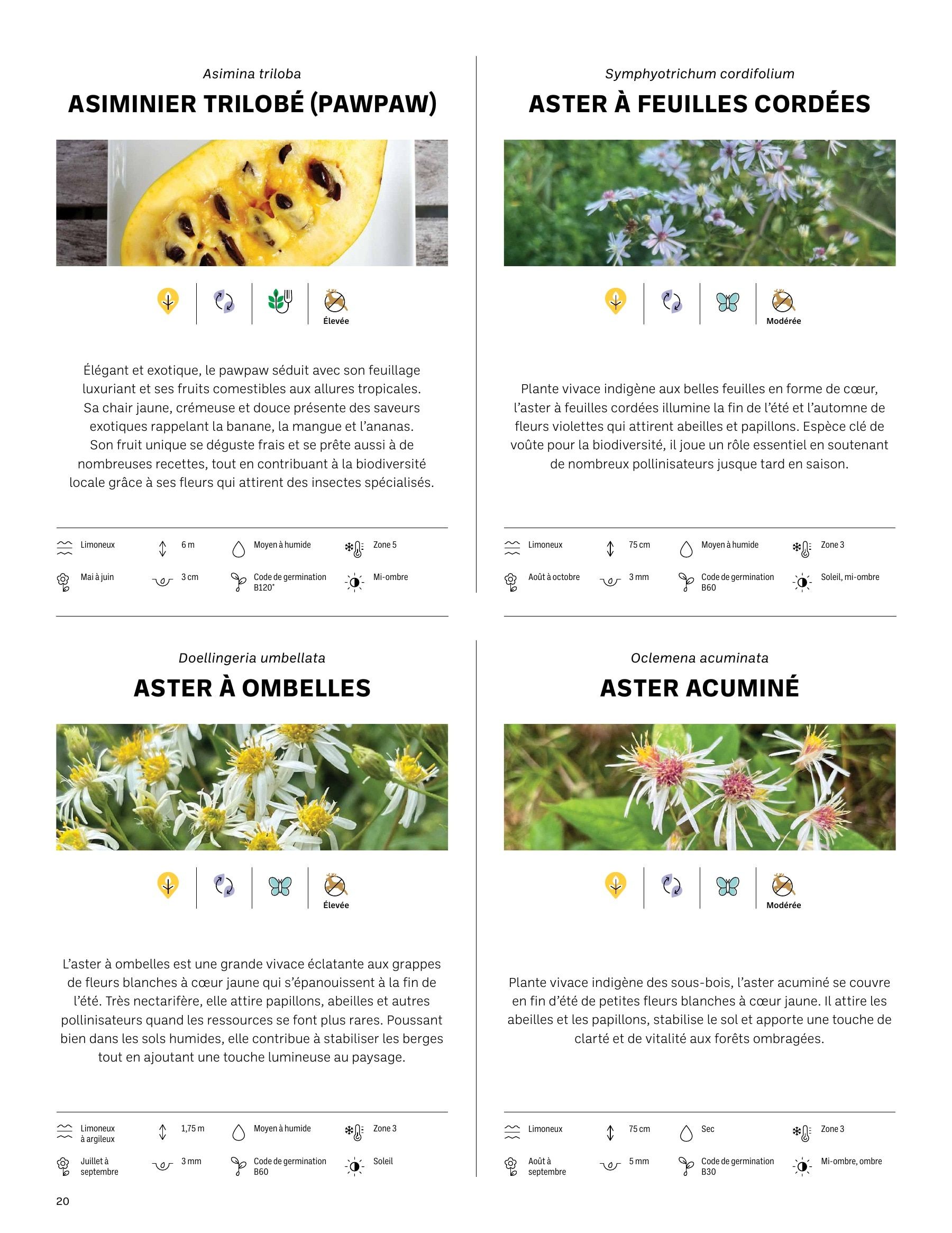 Akène Detailed Seed Catalog Weekly Ad January 1 - December 31, 2026