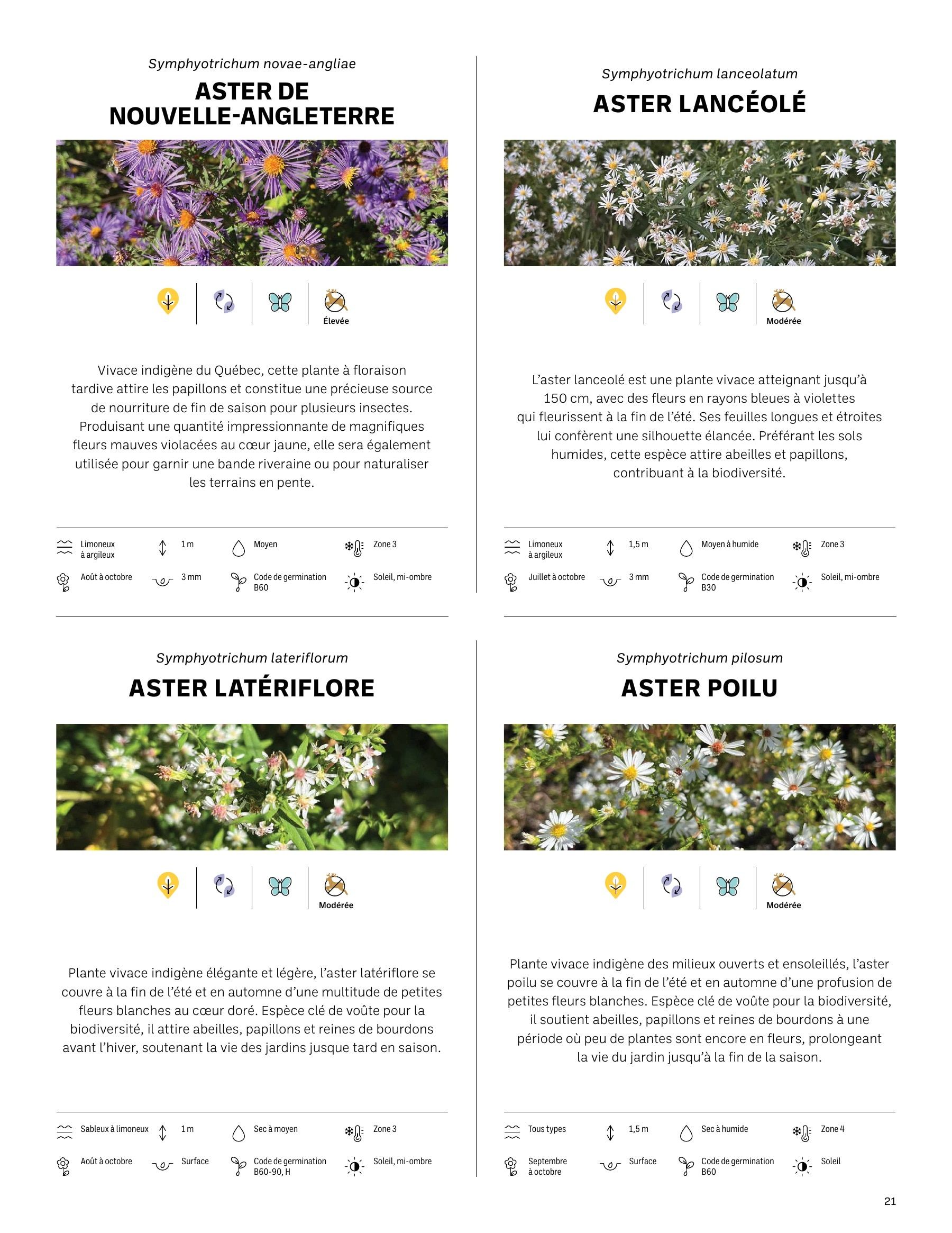 Akène Detailed Seed Catalog Weekly Ad January 1 - December 31, 2026
