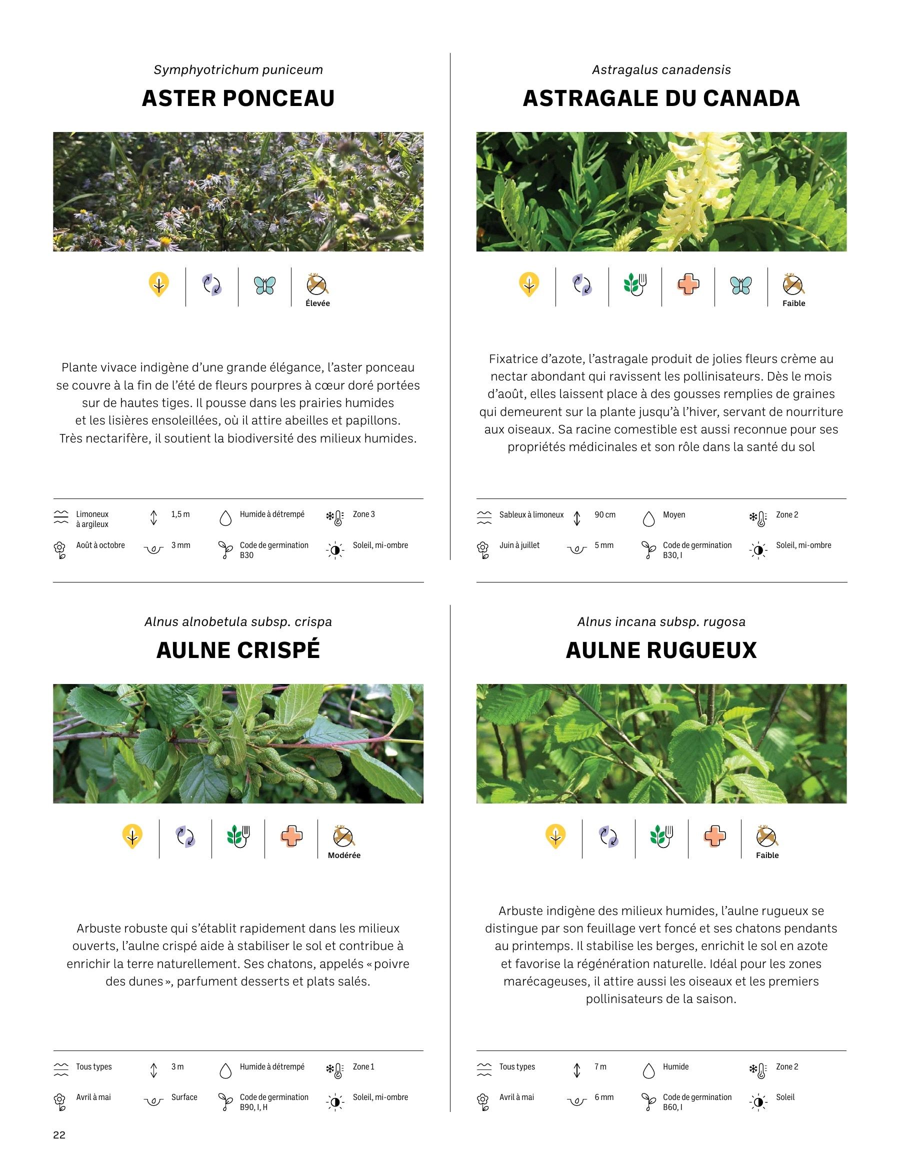 Akène Detailed Seed Catalog Weekly Ad January 1 - December 31, 2026