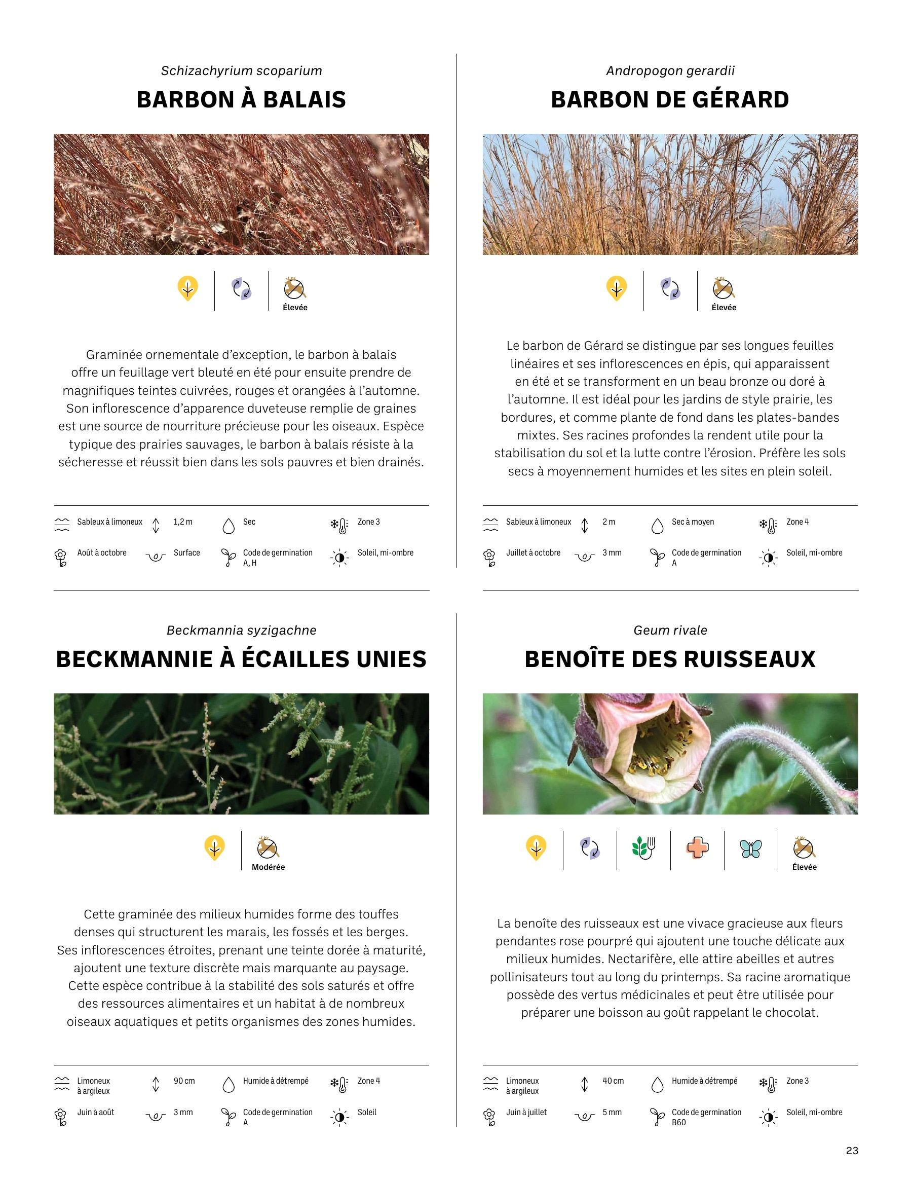 Akène Detailed Seed Catalog Weekly Ad January 1 - December 31, 2026