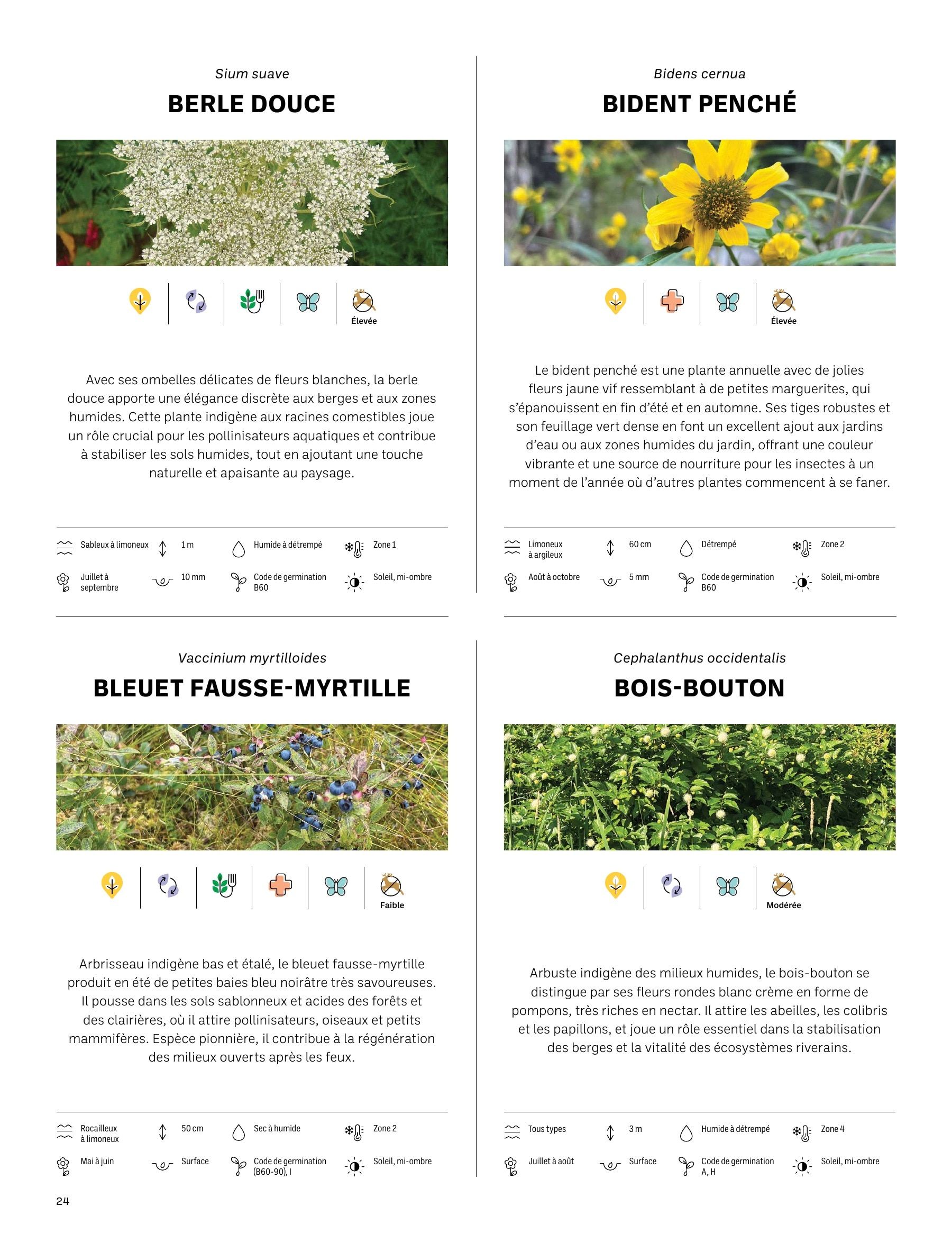 Akène Detailed Seed Catalog Weekly Ad January 1 - December 31, 2026