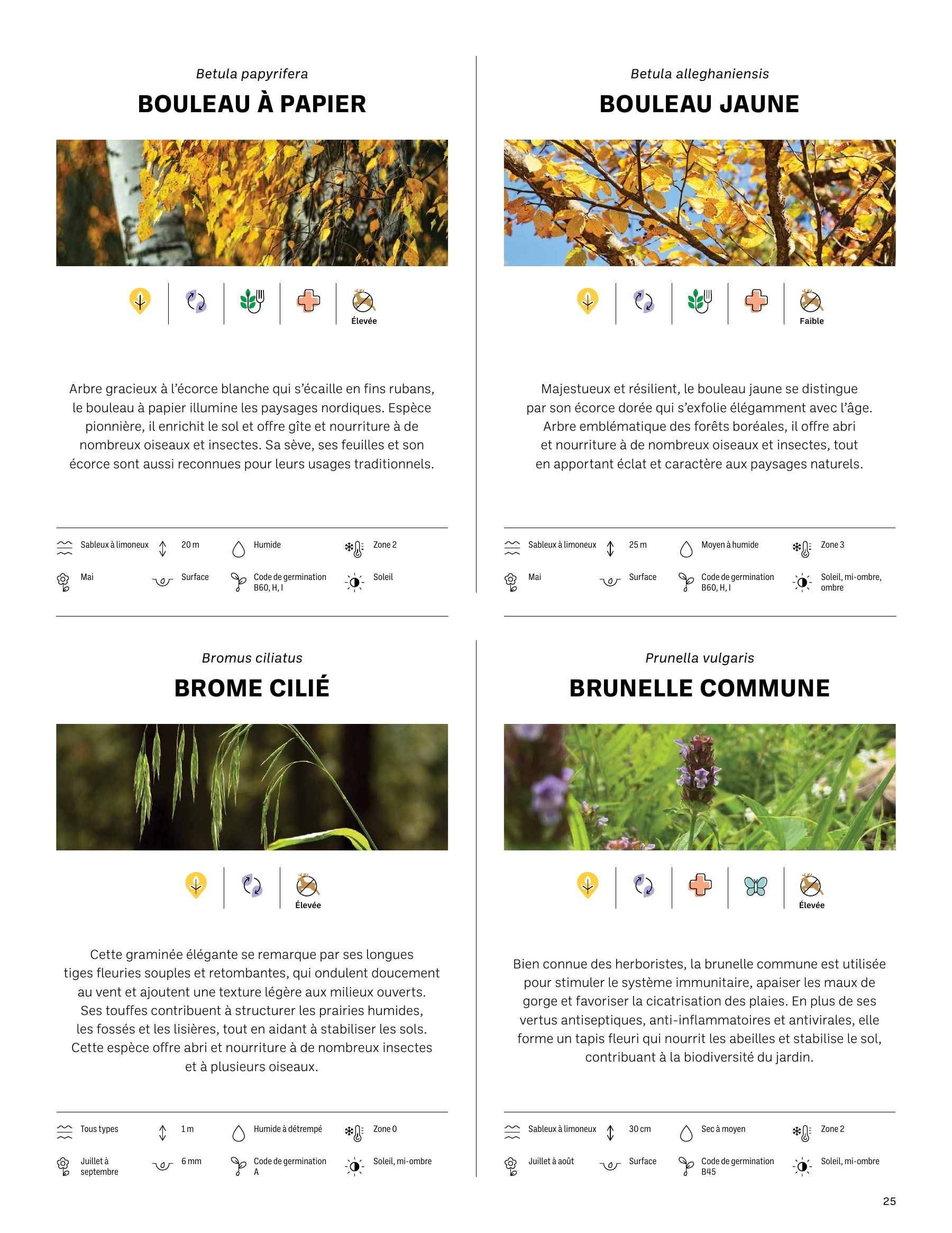 Akène Detailed Seed Catalog Weekly Ad January 1 - December 31, 2026