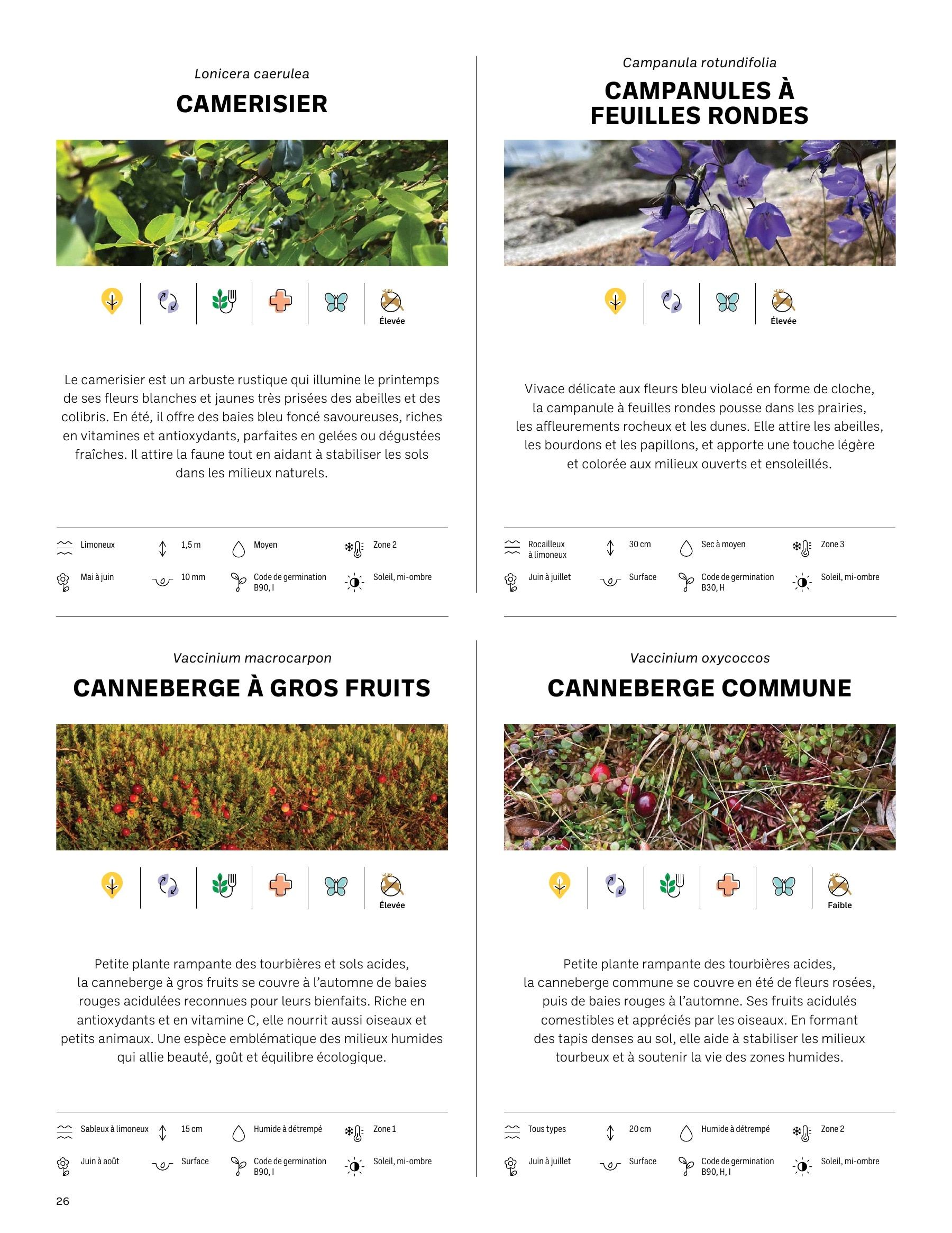 Akène Detailed Seed Catalog Weekly Ad January 1 - December 31, 2026