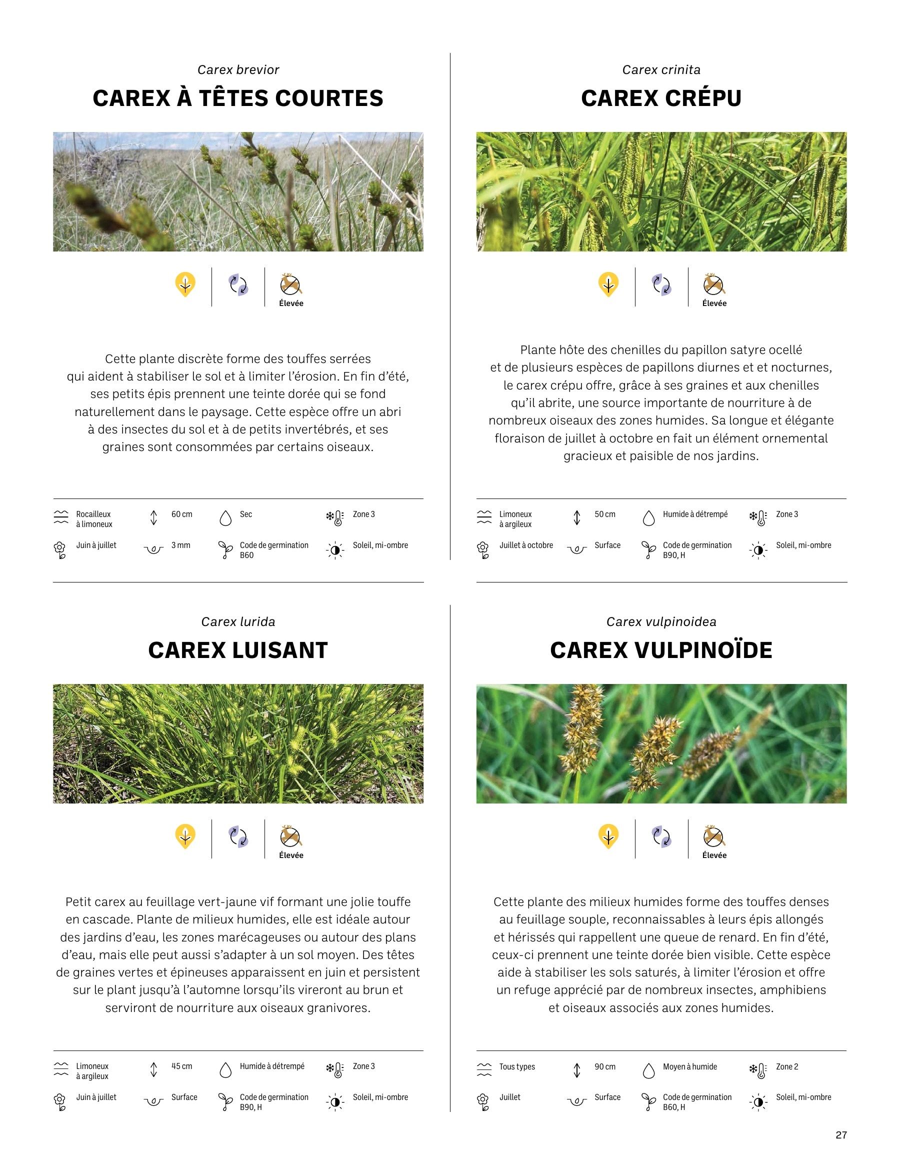 Akène Detailed Seed Catalog Weekly Ad January 1 - December 31, 2026