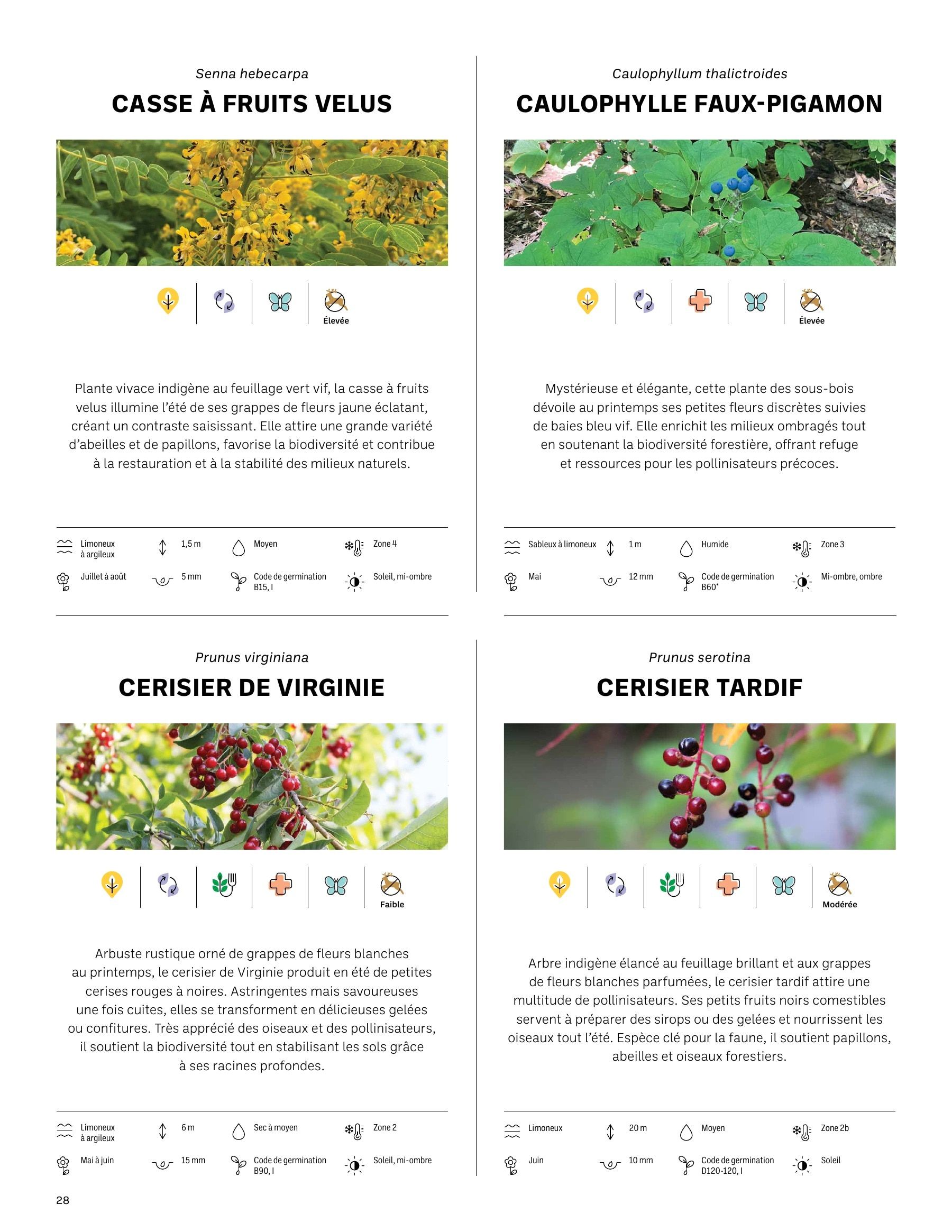 Akène Detailed Seed Catalog Weekly Ad January 1 - December 31, 2026