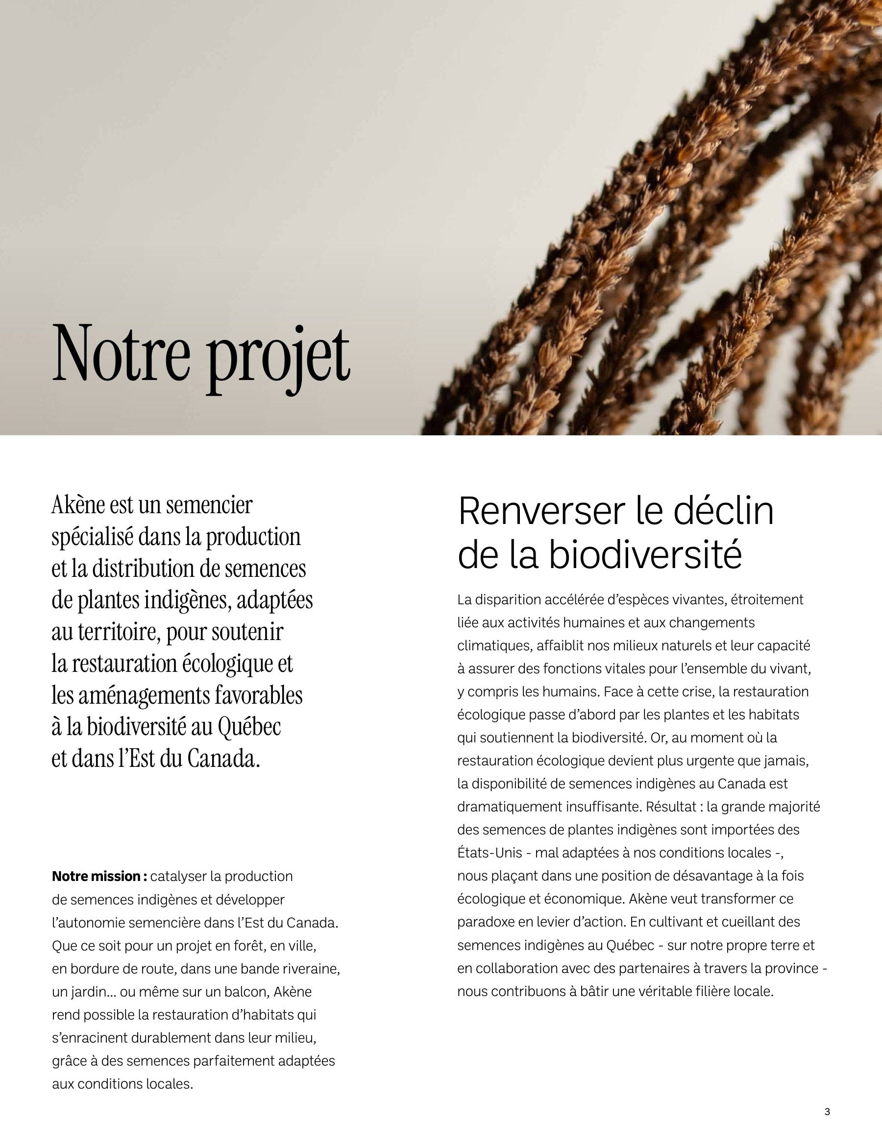 Akène Detailed Seed Catalog Weekly Ad January 1 - December 31, 2026