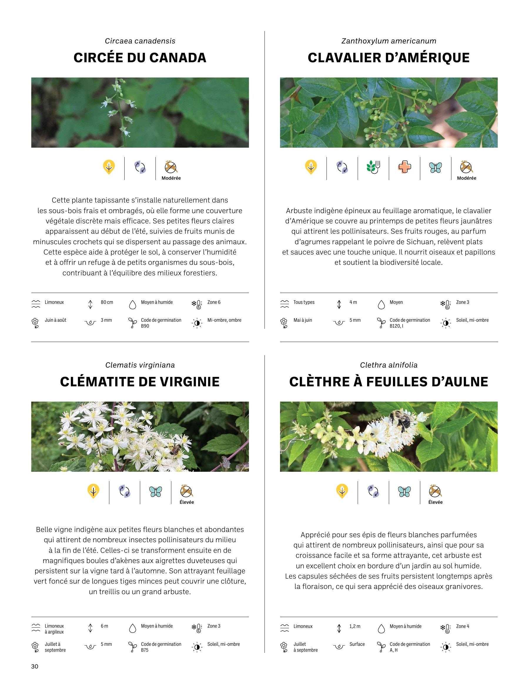 Akène Detailed Seed Catalog Weekly Ad January 1 - December 31, 2026