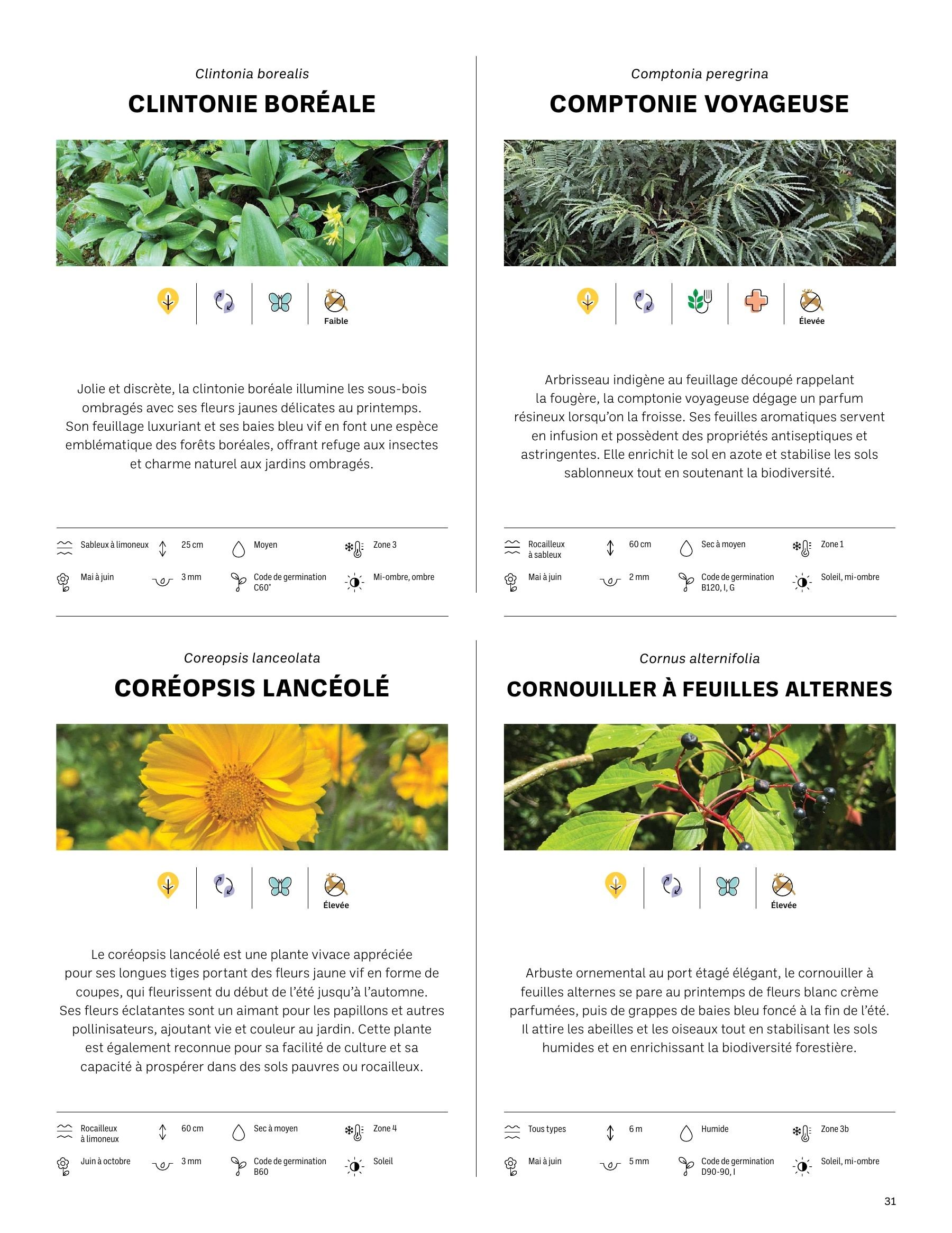 Akène Detailed Seed Catalog Weekly Ad January 1 - December 31, 2026