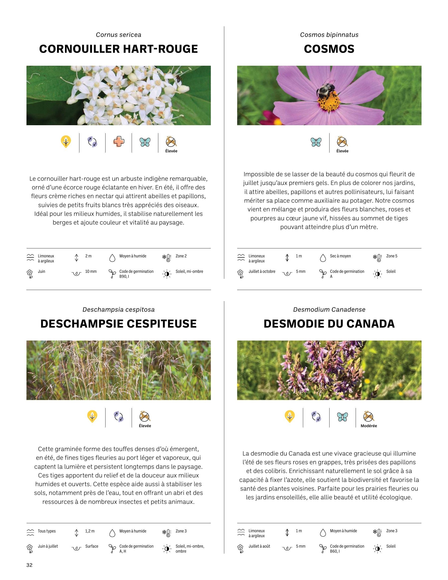 Akène Detailed Seed Catalog Weekly Ad January 1 - December 31, 2026