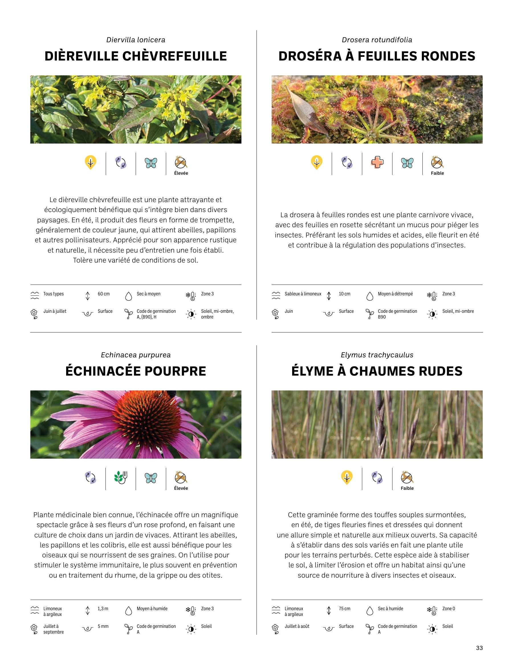 Akène Detailed Seed Catalog Weekly Ad January 1 - December 31, 2026