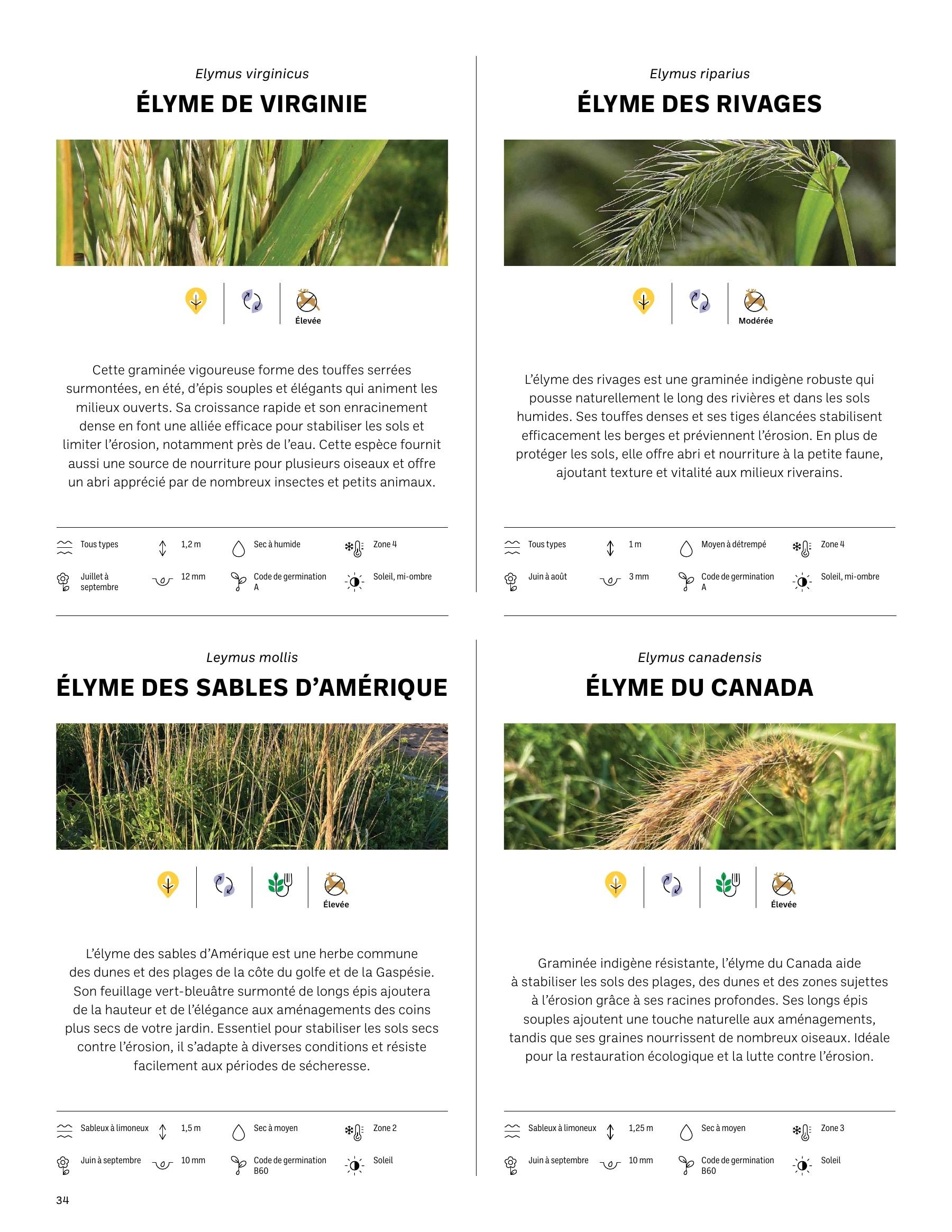 Akène Detailed Seed Catalog Weekly Ad January 1 - December 31, 2026